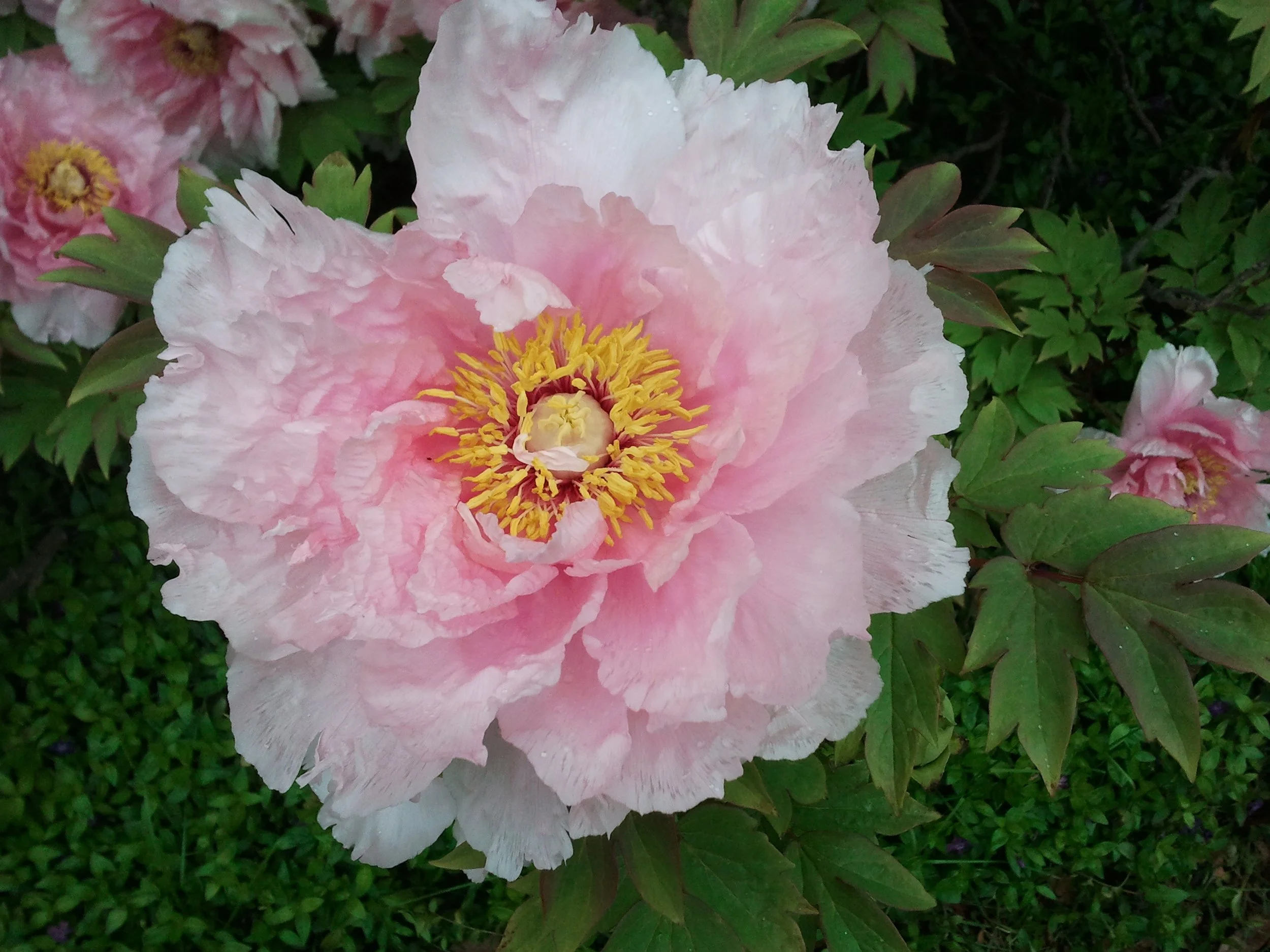 2012-05-02 10.40.38 2.jpeg