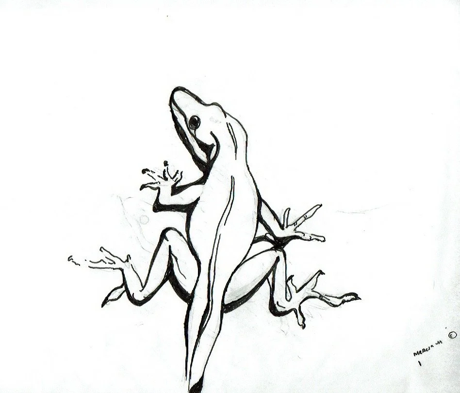 "Lizard 2" 2019, Pen on paper