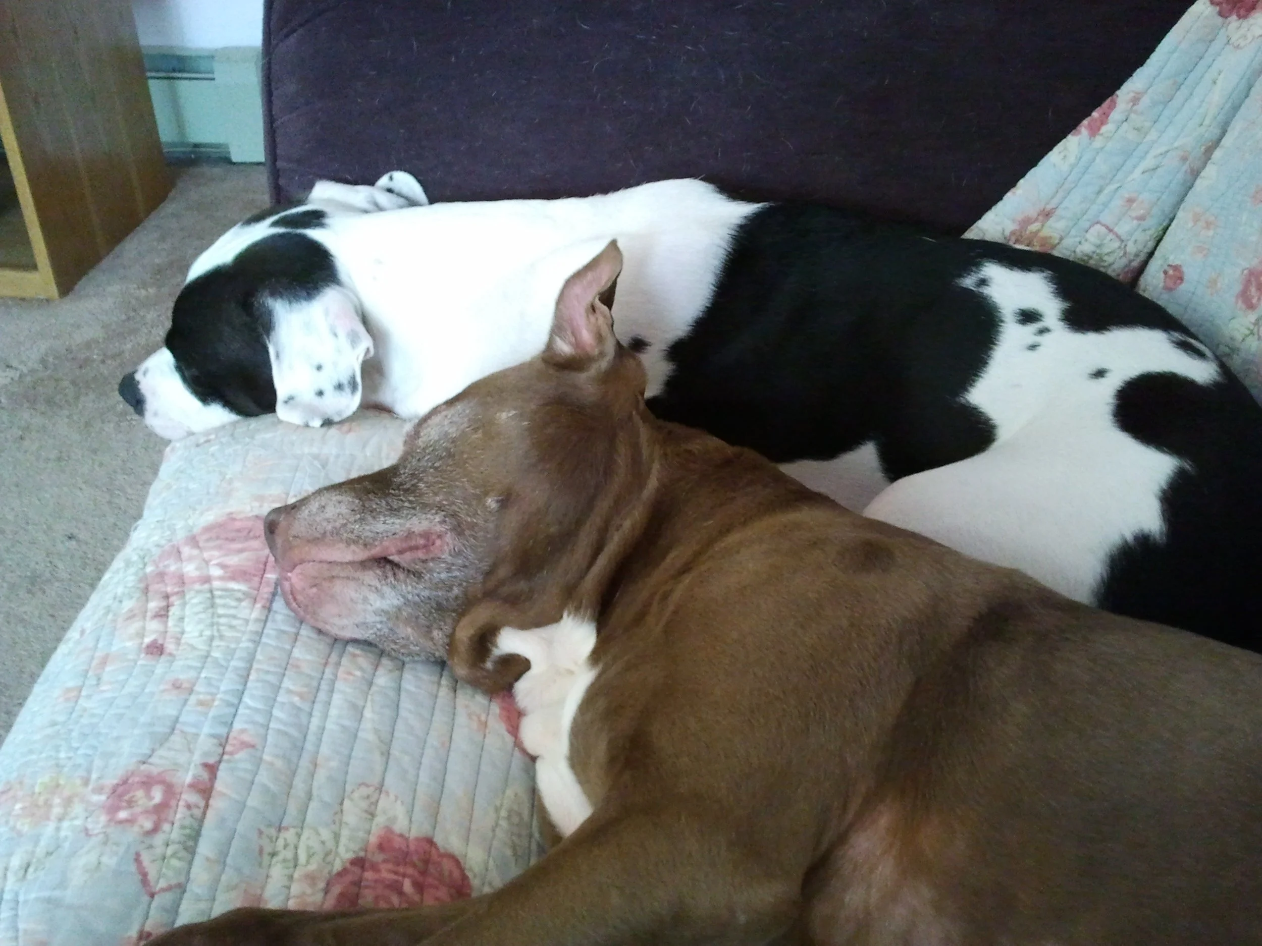 2012-06-25 15.07.46.jpeg