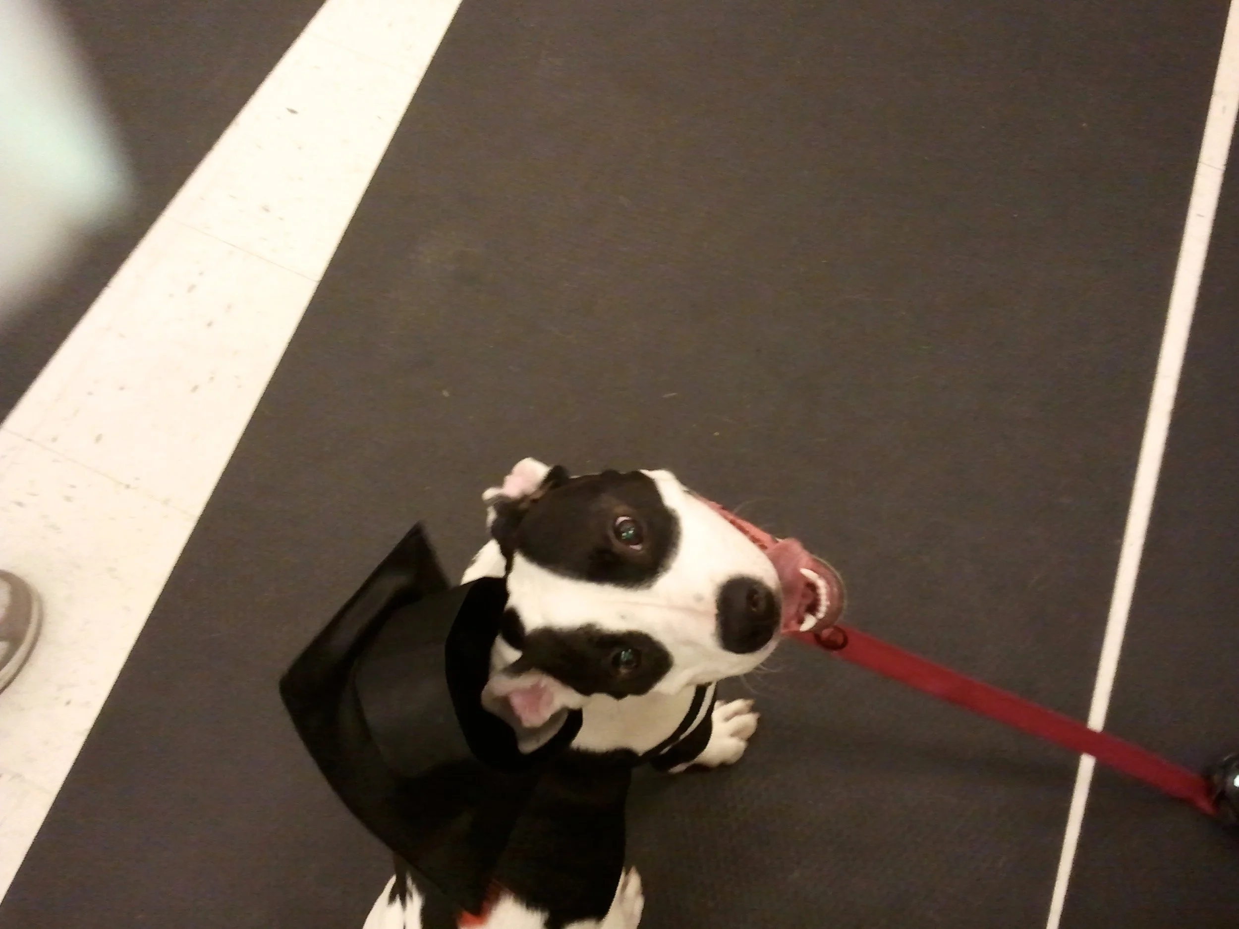 2011-05-22 16.25.49.jpeg