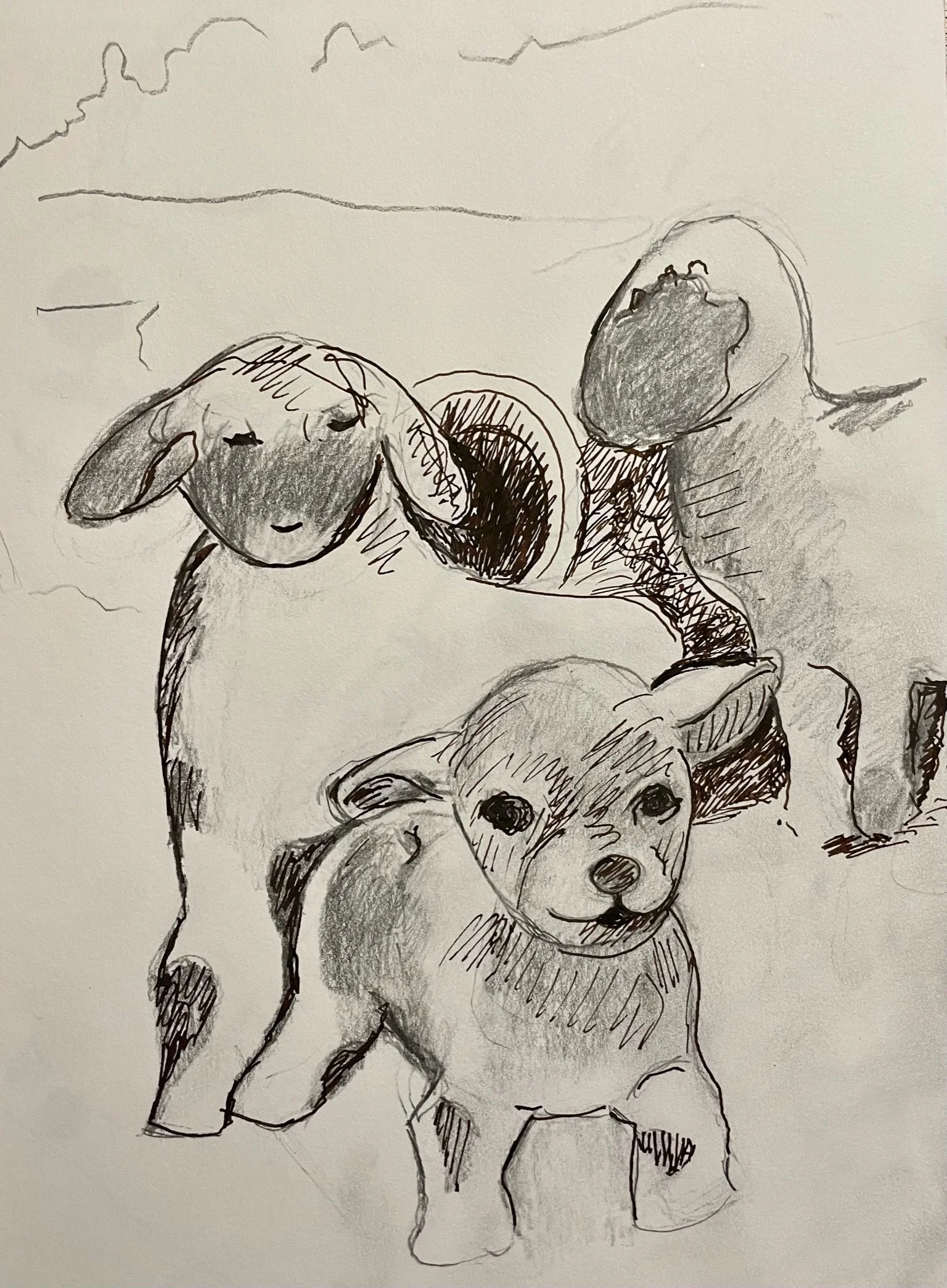"Three Little Lambs" 2023, Pencil & Ink on newsprint, preliminary sketch for painting