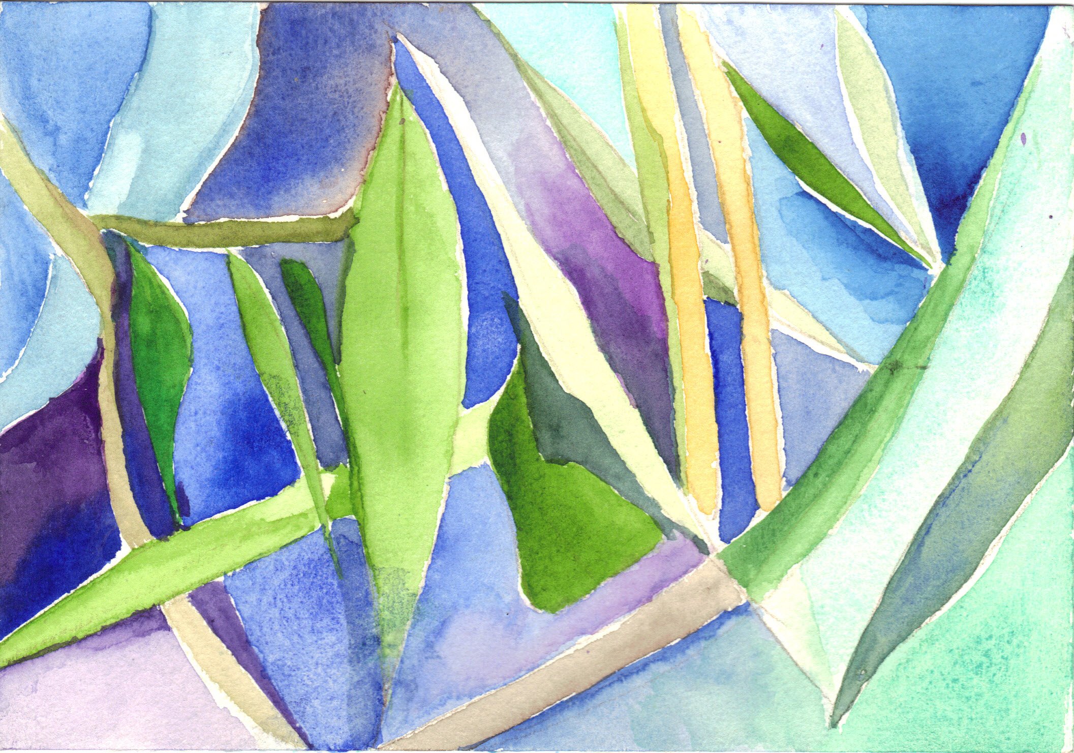"Willow Card 7" 2014, Watercolor on paper
