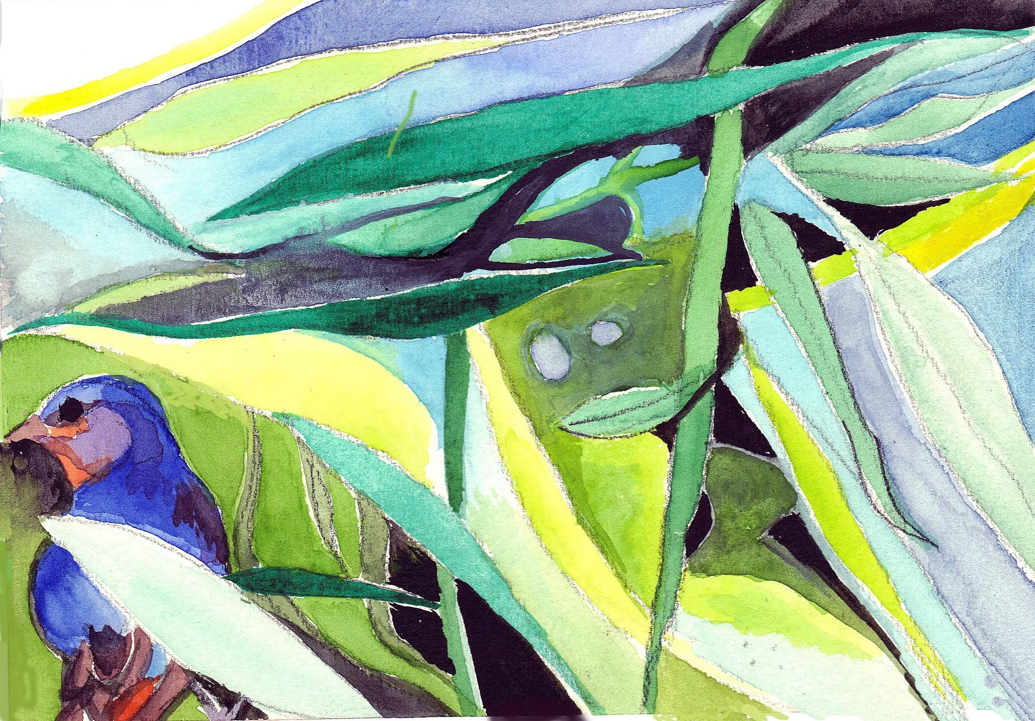 "Blue Bird in Willow 4" 2015, Watercolor on paper