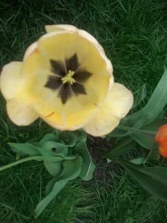 1305218246462 2.jpeg