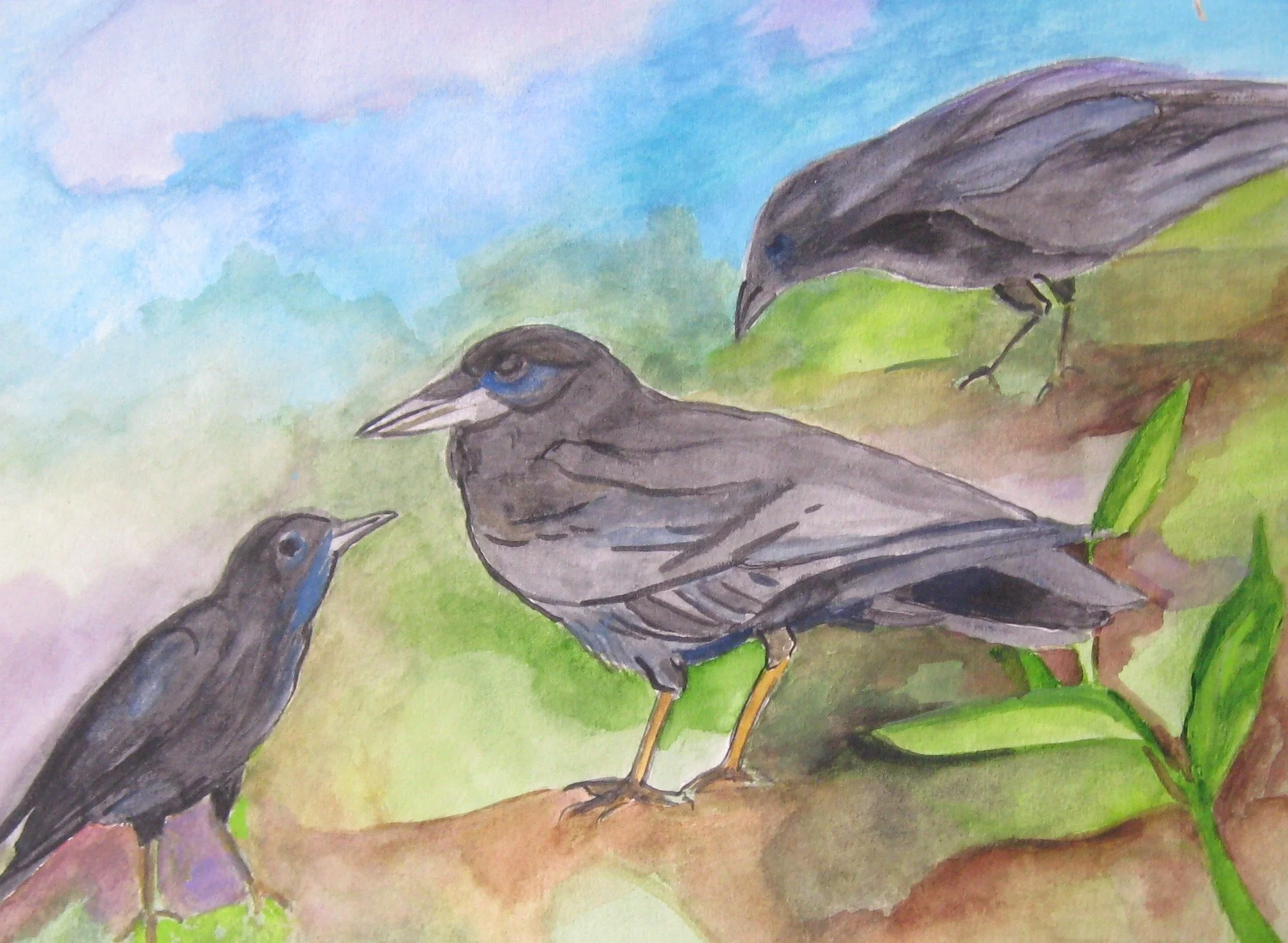 "Crows in Conversation" 2009, Watercolor on paper, Collaboration with mother