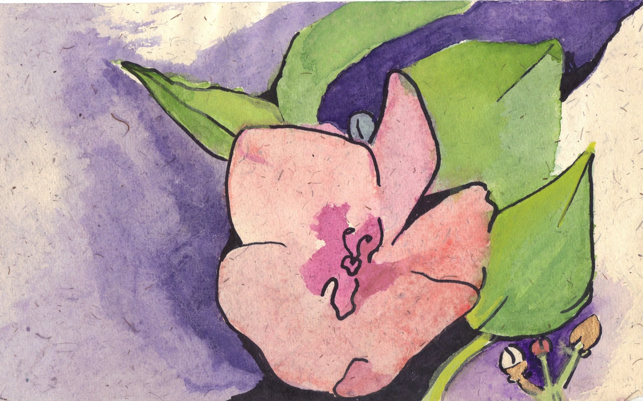 "Pink Flower In My Garden" 1988, Watercolor on  handmade paper from India