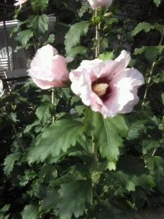 1295733703135 2.jpeg