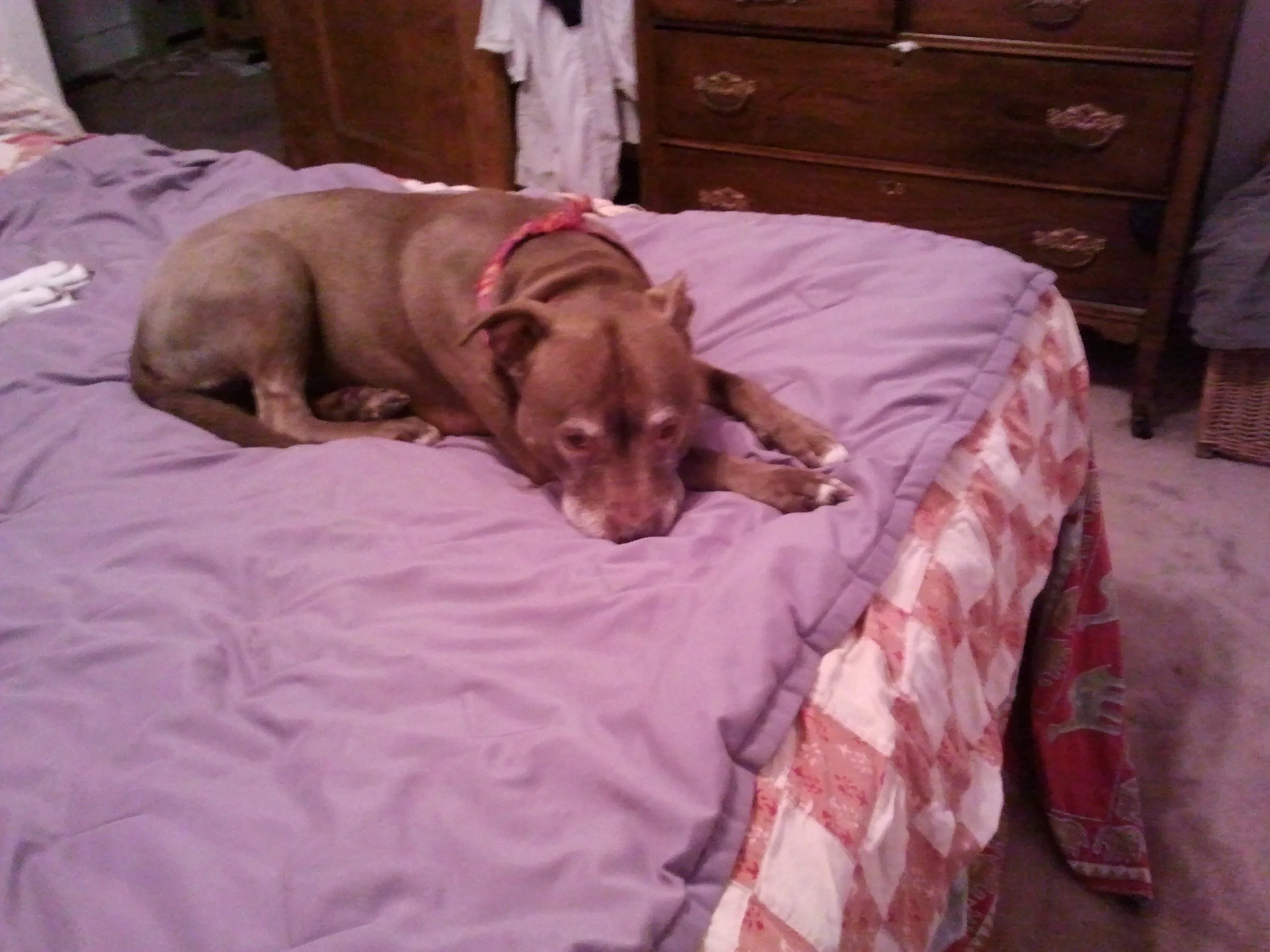 2012-06-17 06.50.26.jpeg