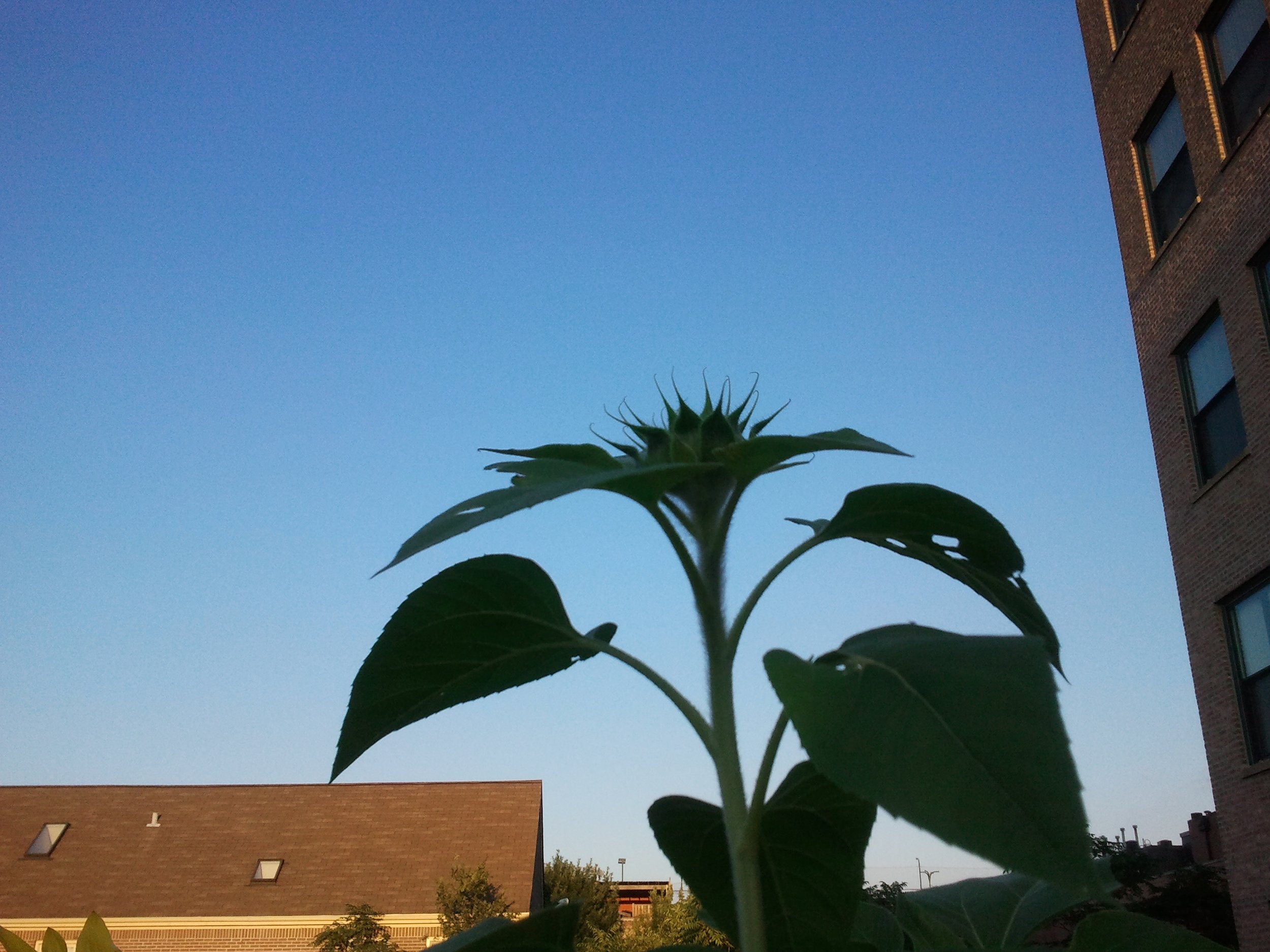 2011-09-11 18.29.18.jpeg