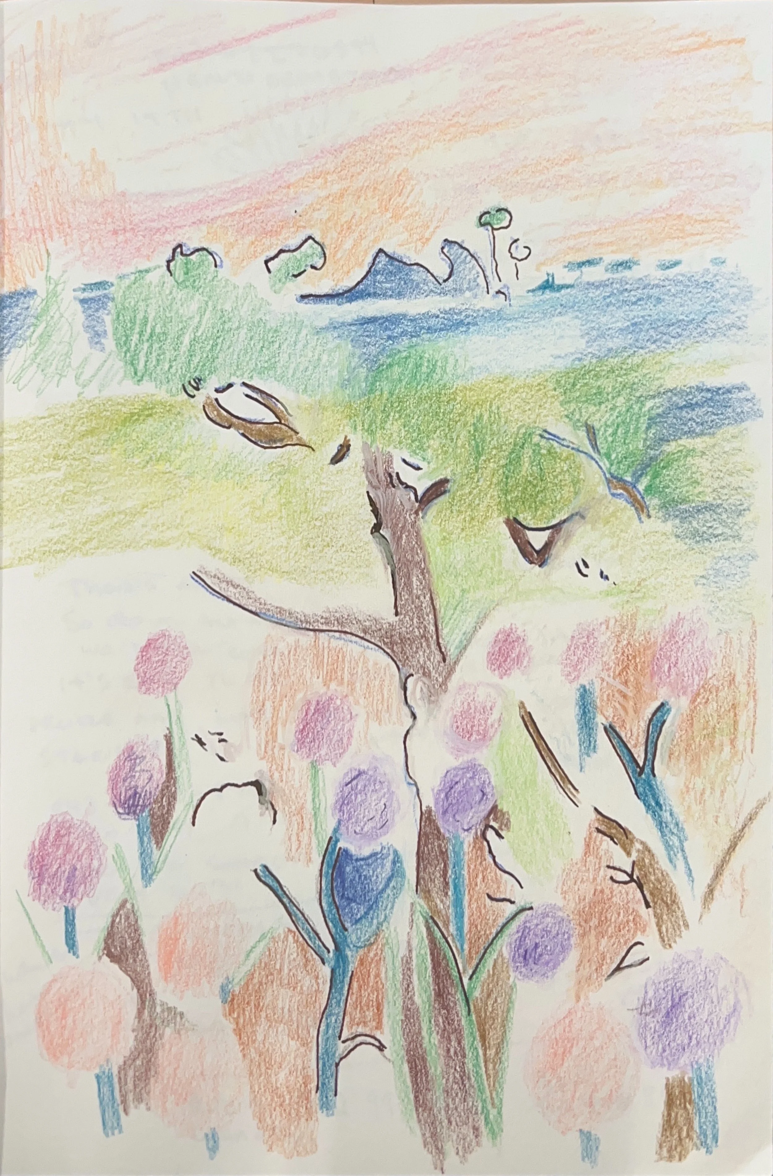 "Jacky's Island" 2020’s, Pen & colored pencil on paper