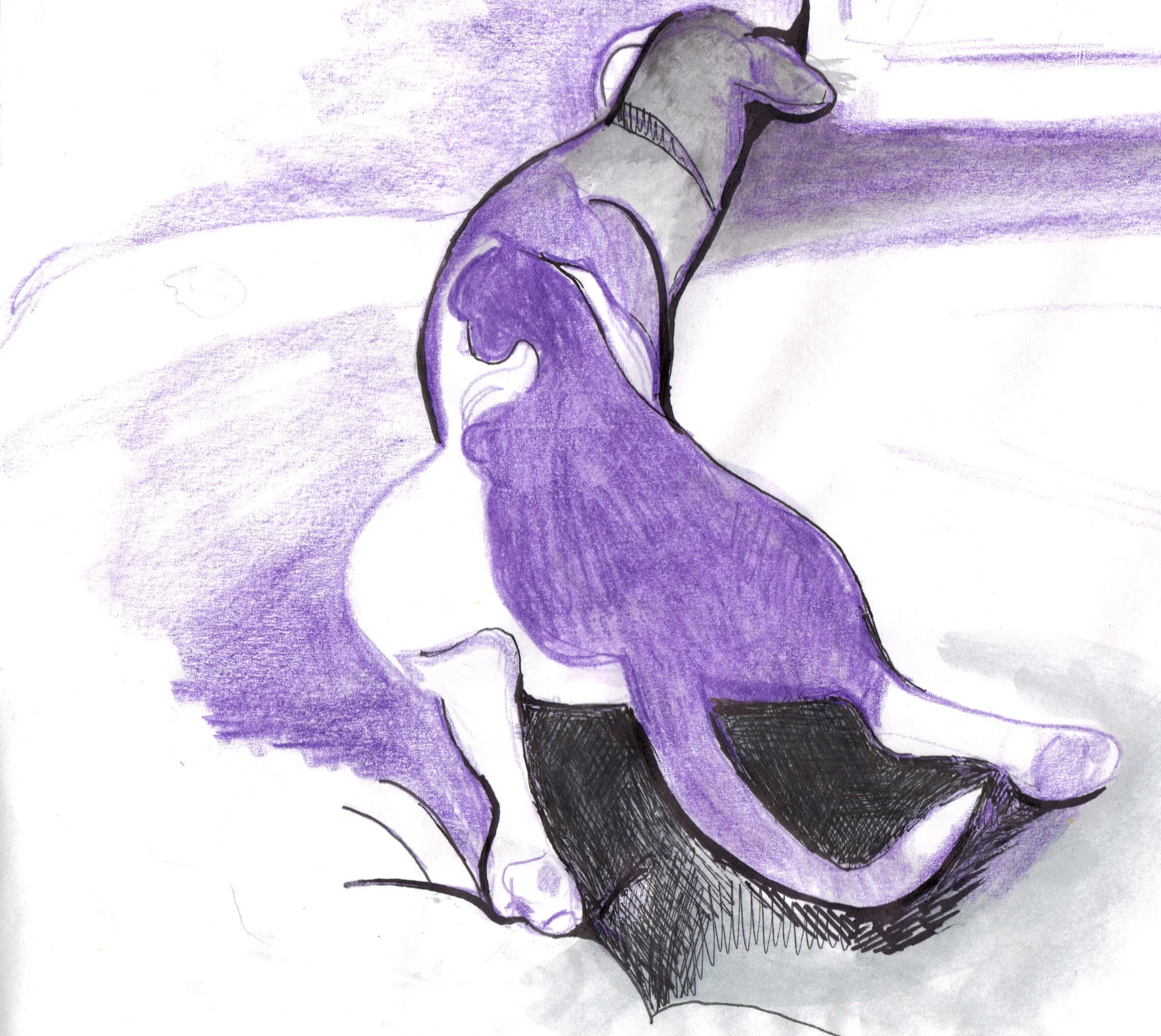 "Purple Lucy" 2012, Colored Pencil on paper(Move to Drawings)