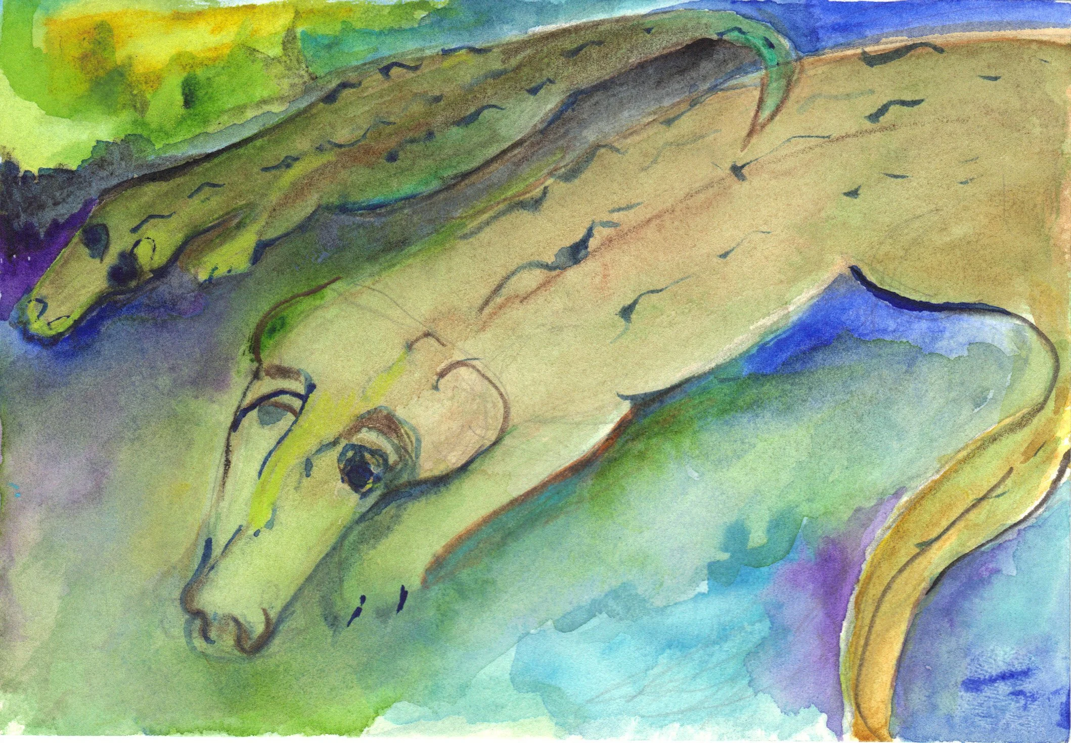 "Alligator Two" 2014, Watercolor on paper