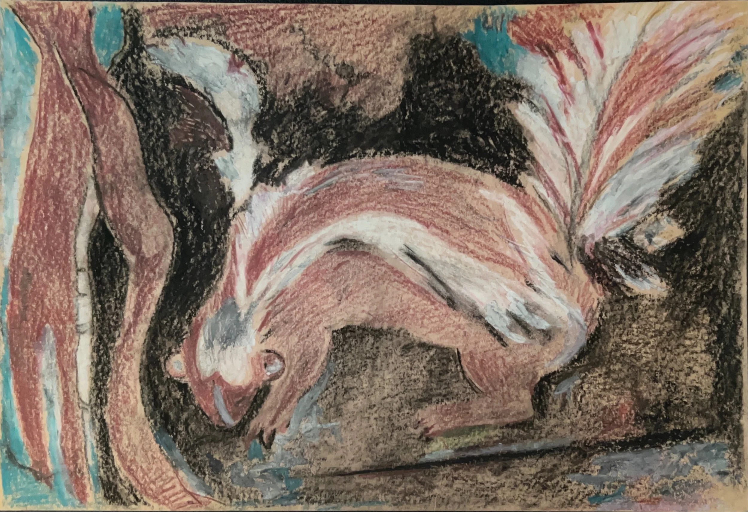 "Squirrel in Motion" 2000's, Charcoal on paper