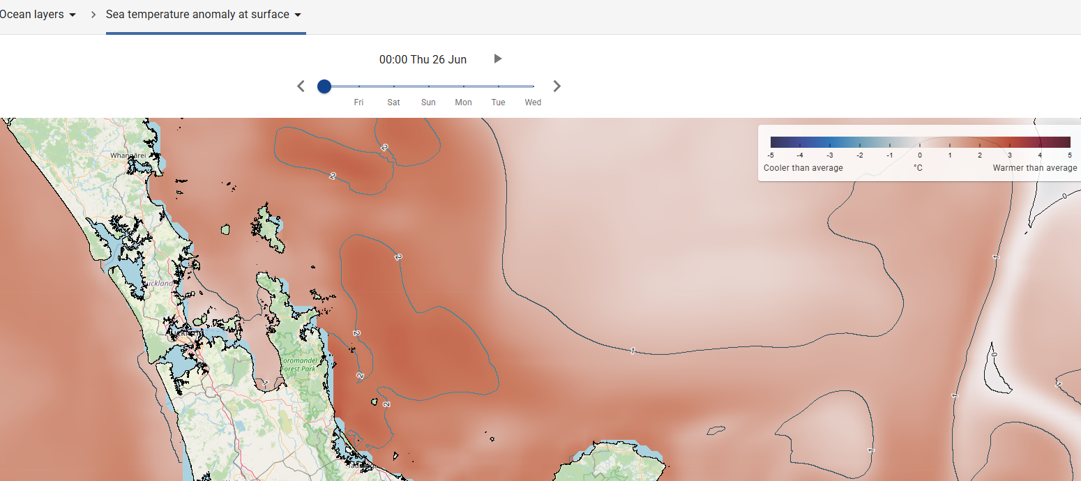 Winter Warmth Beneath the Waves: Marine Heatwaves Grip New Zealand’s Coasts 