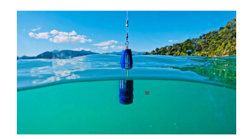 Aotearoa Launches New Charitable Trust to Safeguard Ocean Monitoring Network 