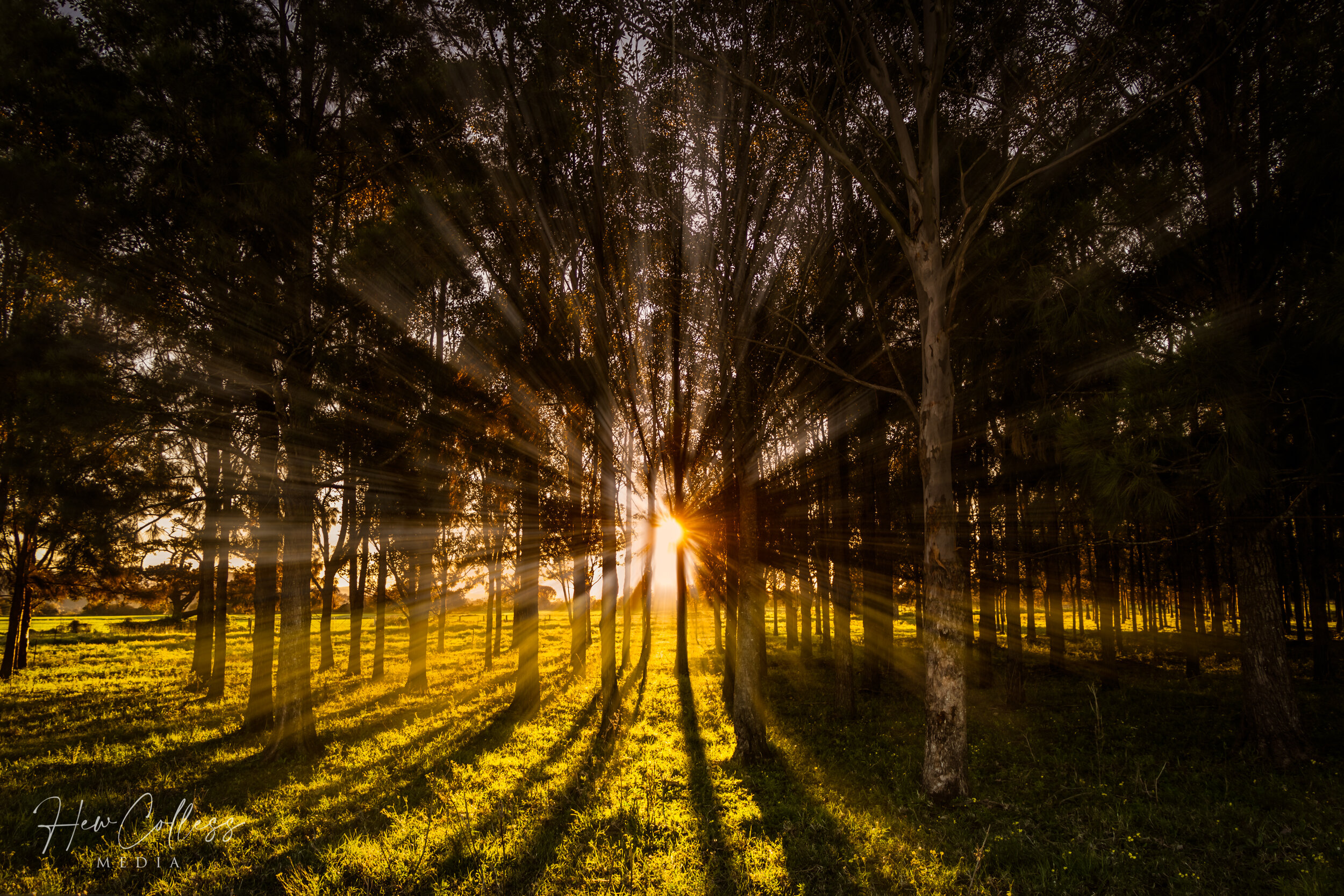 Beaming Light of Meroo