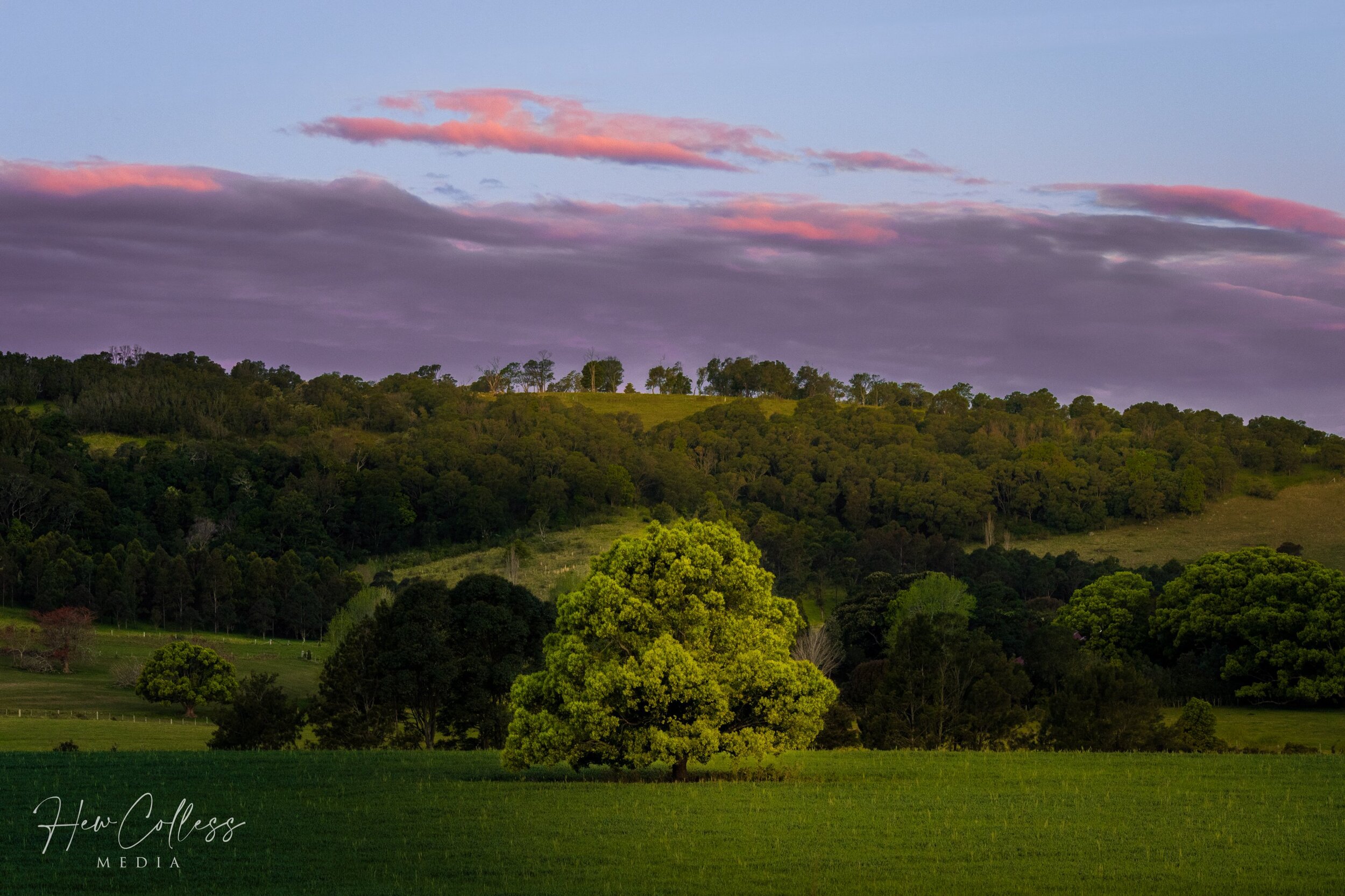 Broughton's Fat Tree