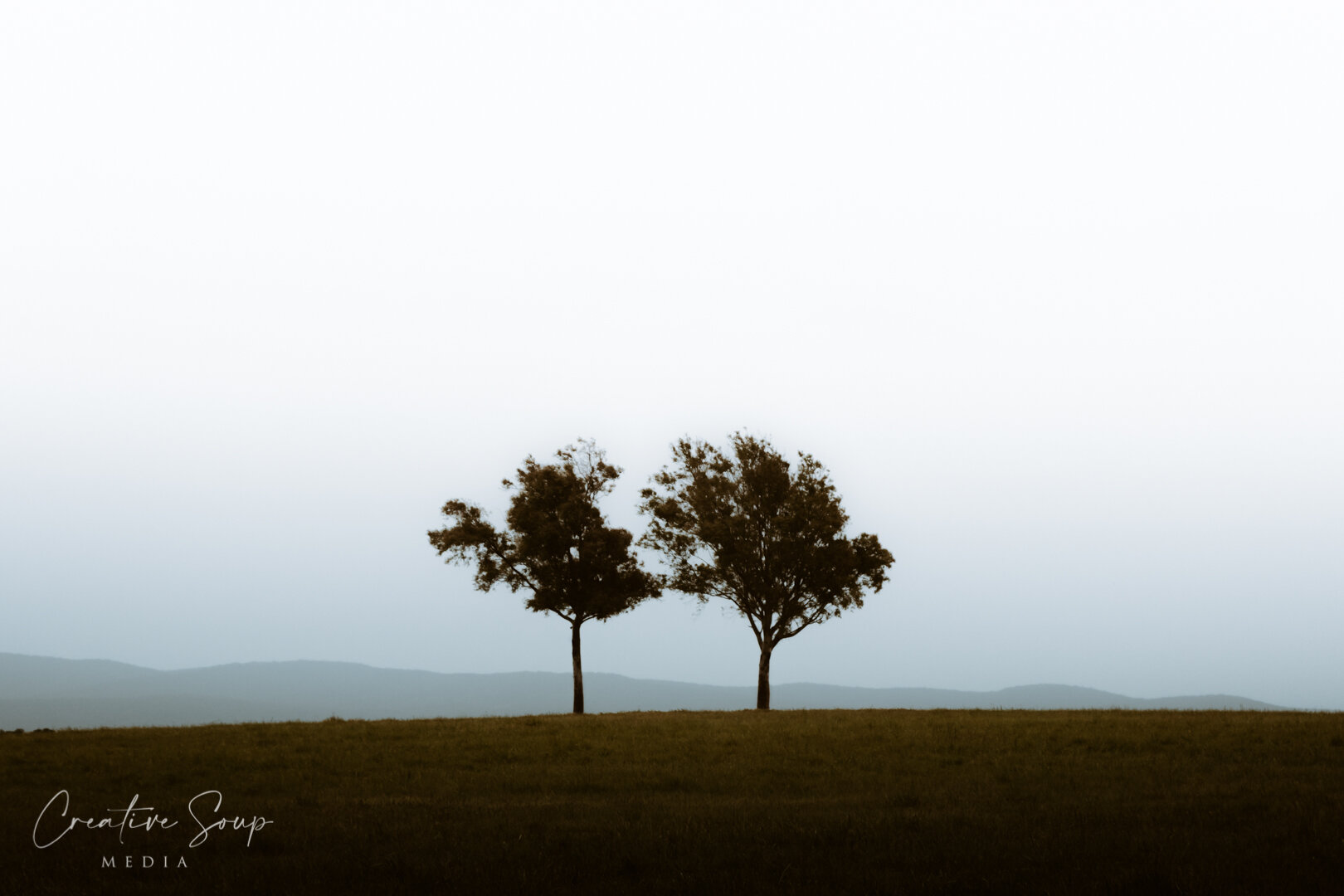 Misty Quialigo