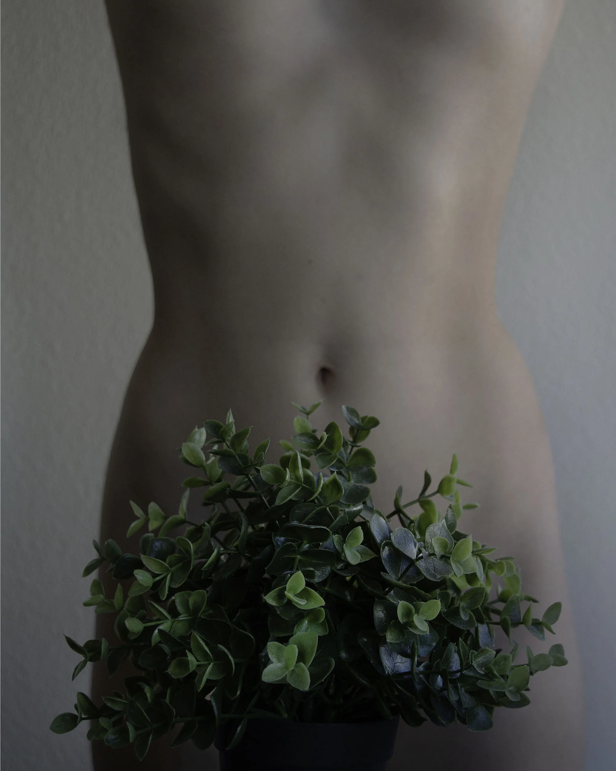 NATURAL FORMS