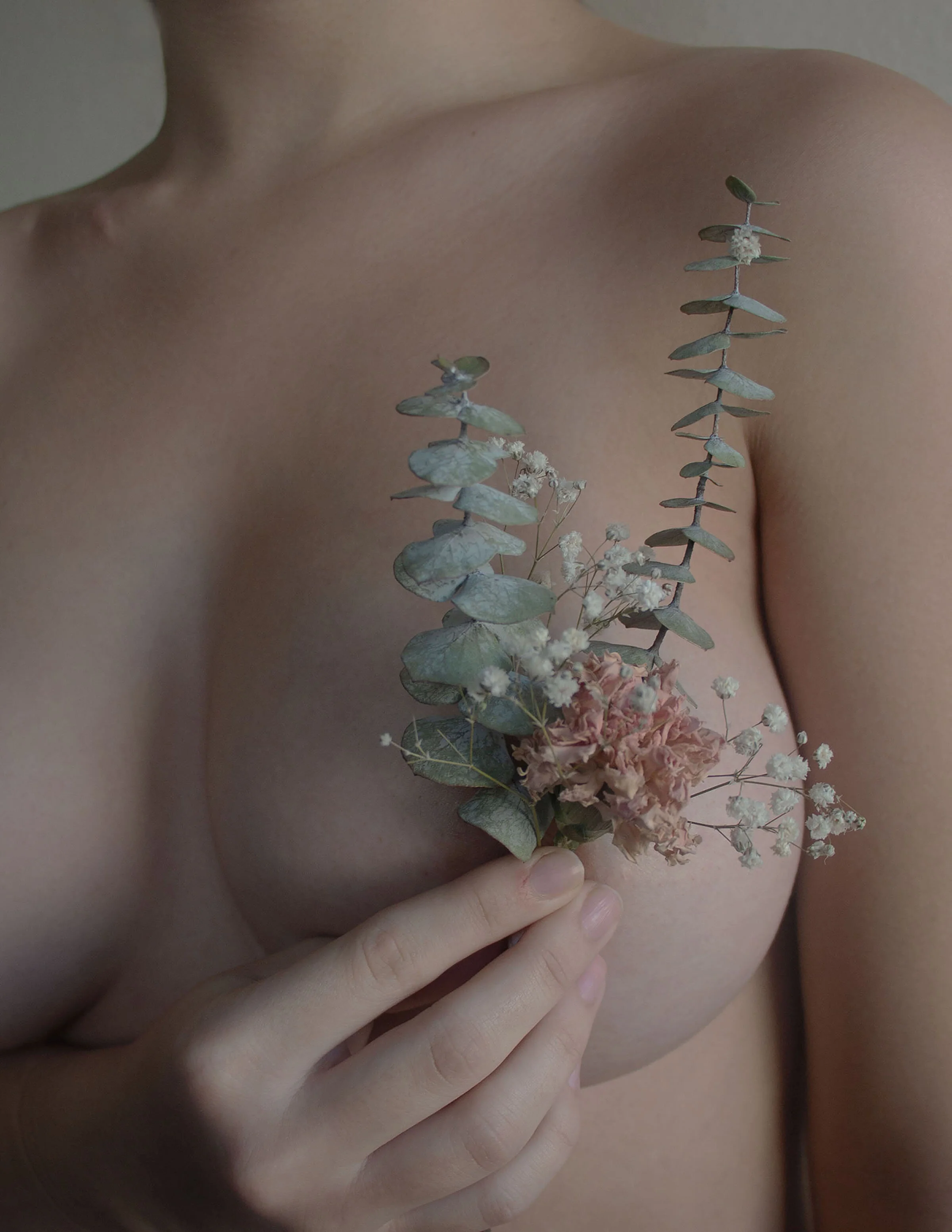 NATURAL FORMS