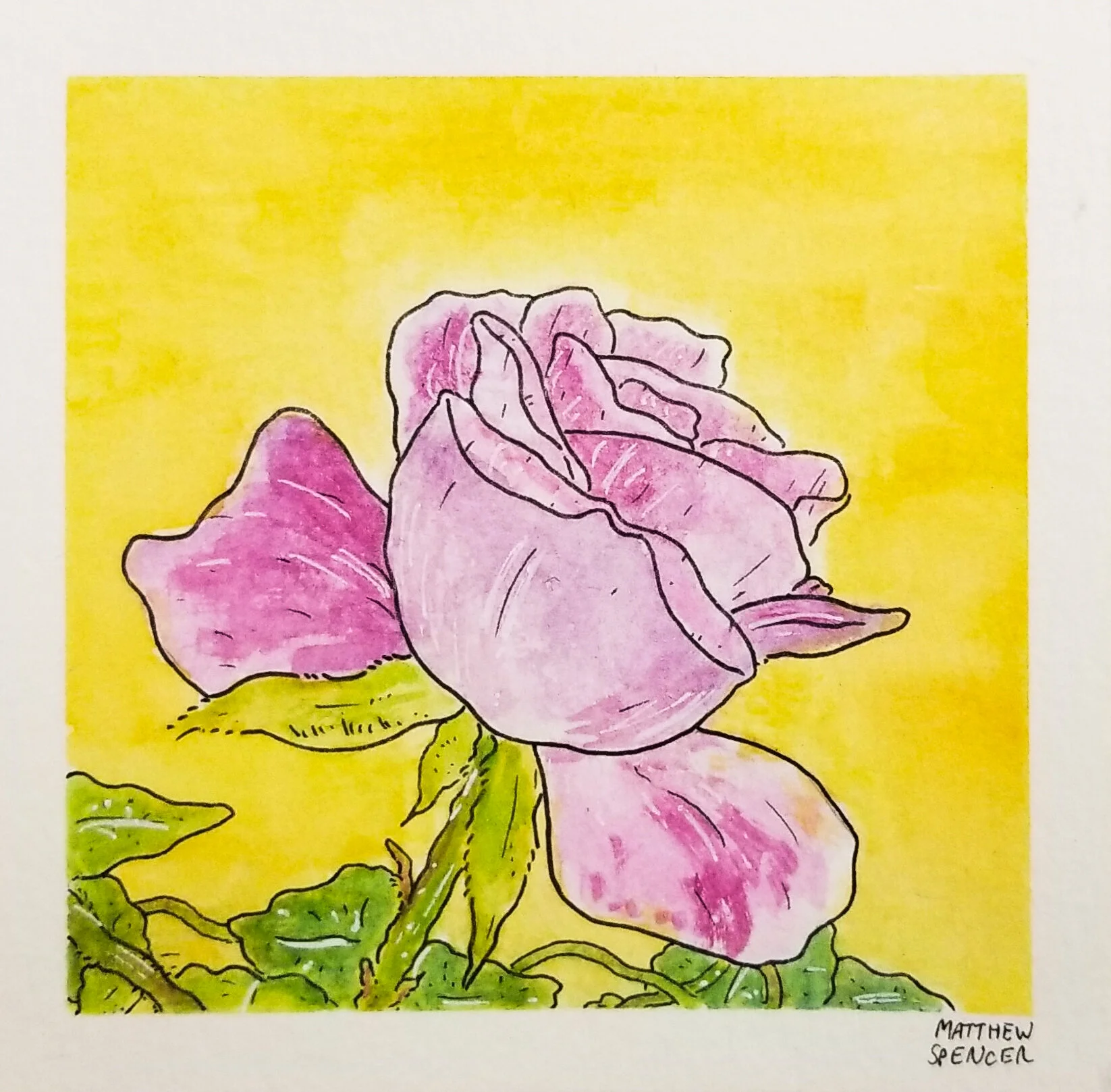 Flower No. 12 (2019, 4x4, Watercolor/Ink)