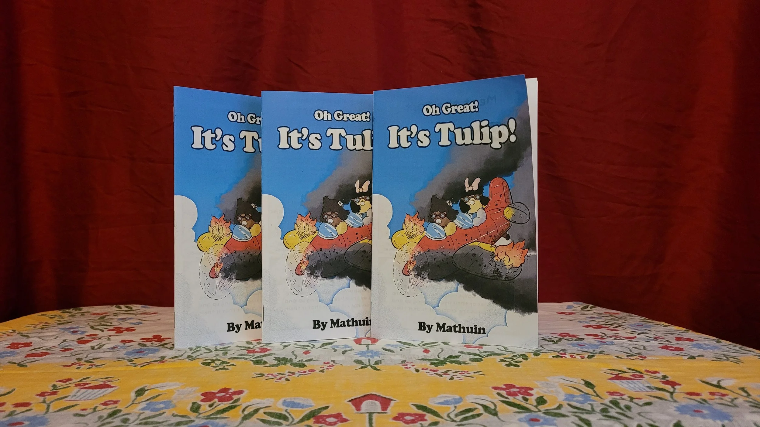 Spencer_Matthew_TulipComicZine.jpg