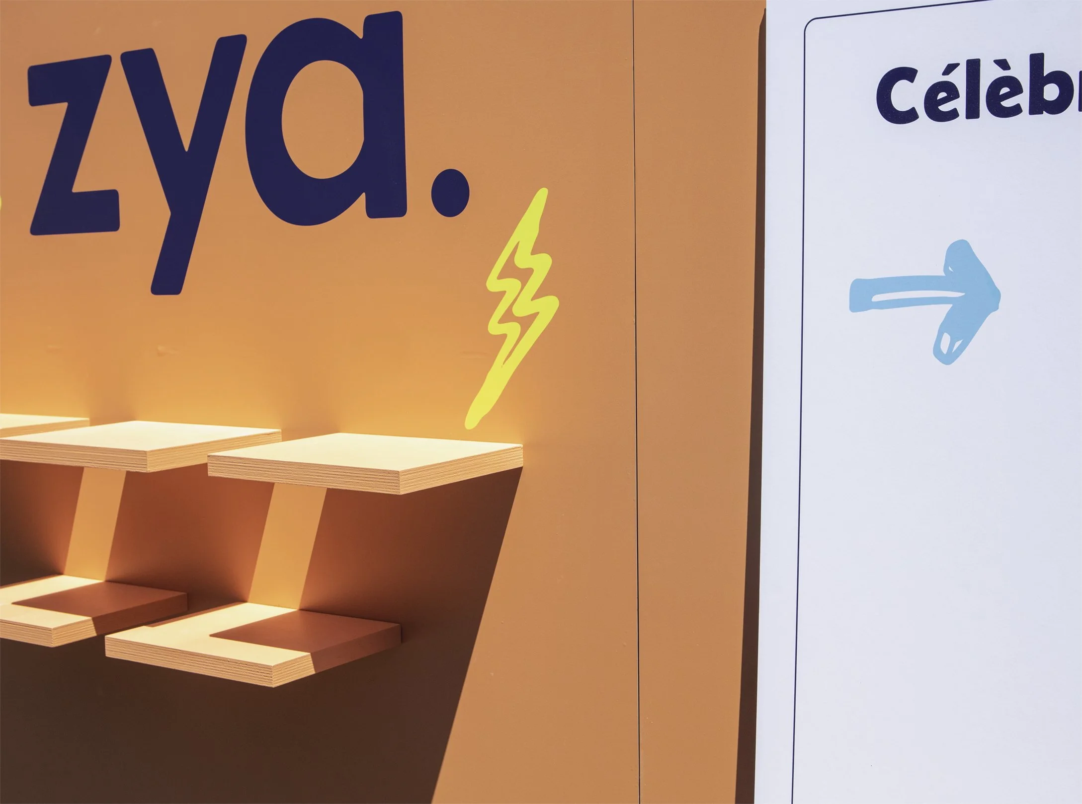 Zya_06.jpg