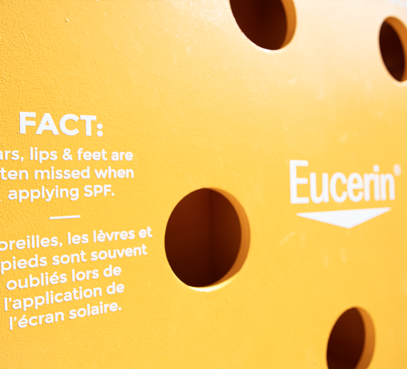 Ecerin_07.png