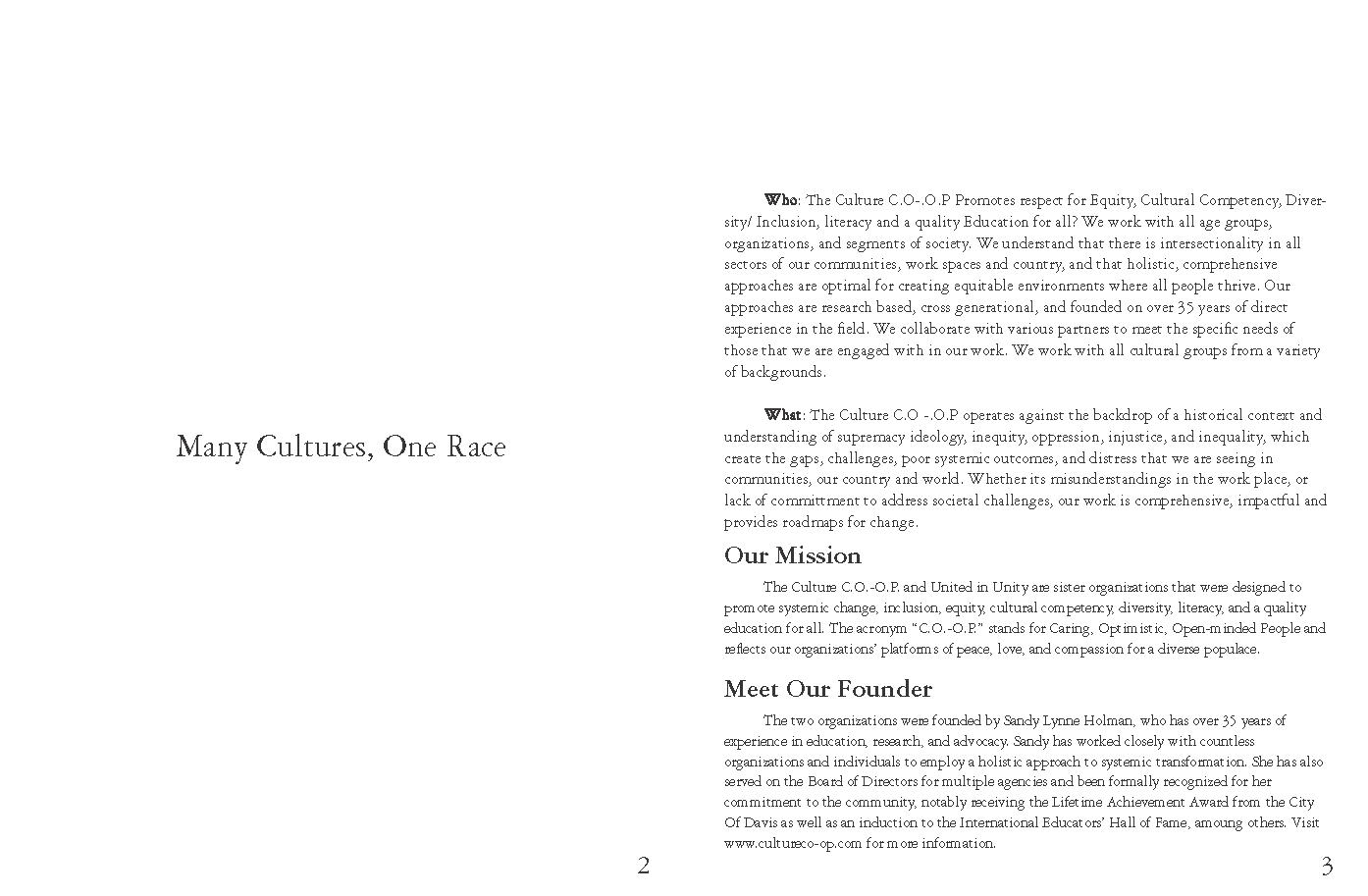 Promoting Systemic Change_Page_02.png