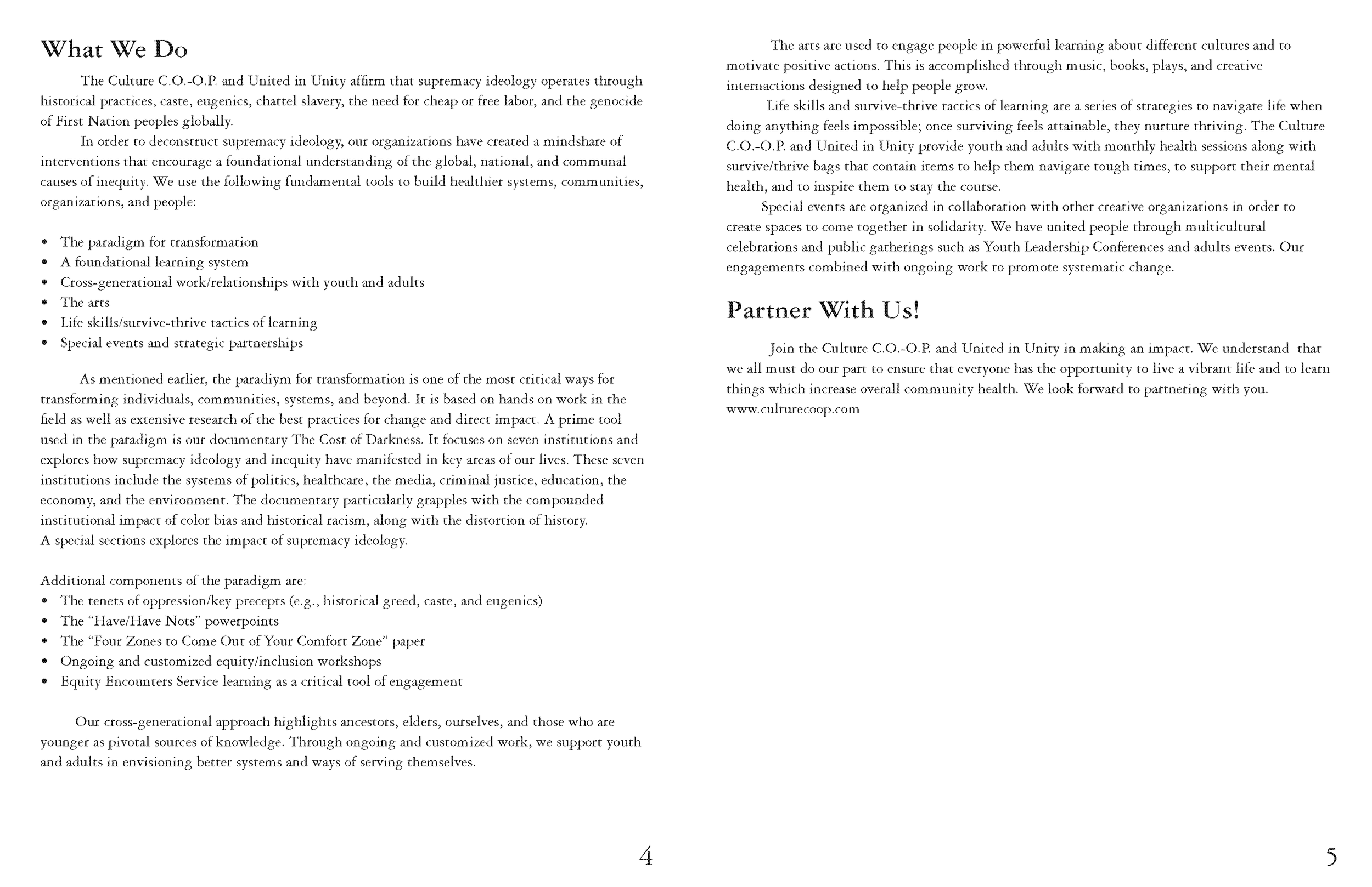 Promoting Systemic Change_Page_03.png