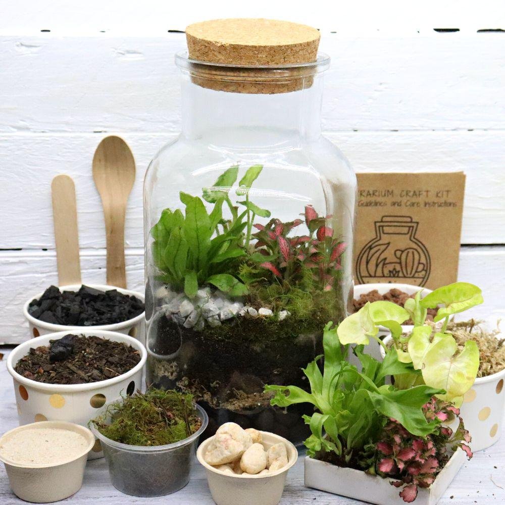 woodland-cork-diy-terrarium-kit-447261.jpg