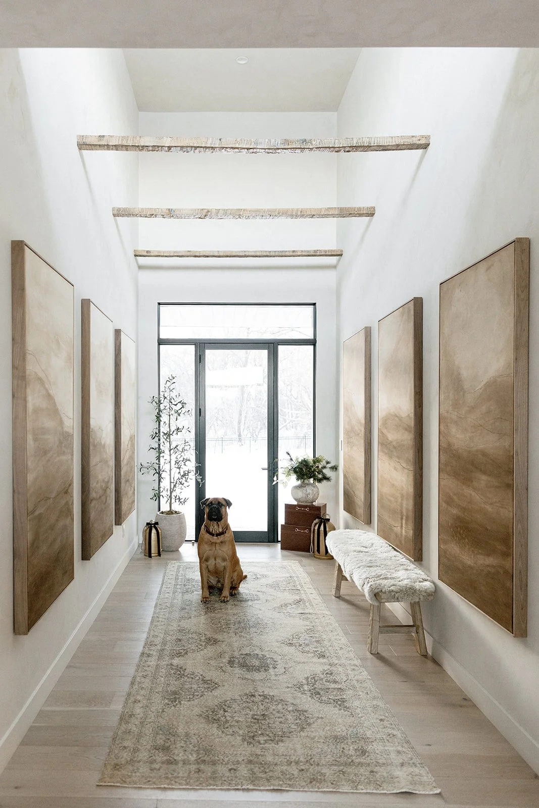 A narrow entryway with a welcoming dog sitting on a patterned rug, glass door at the end, and wall-mounted art panels on each side, decorated with plants and a bench.