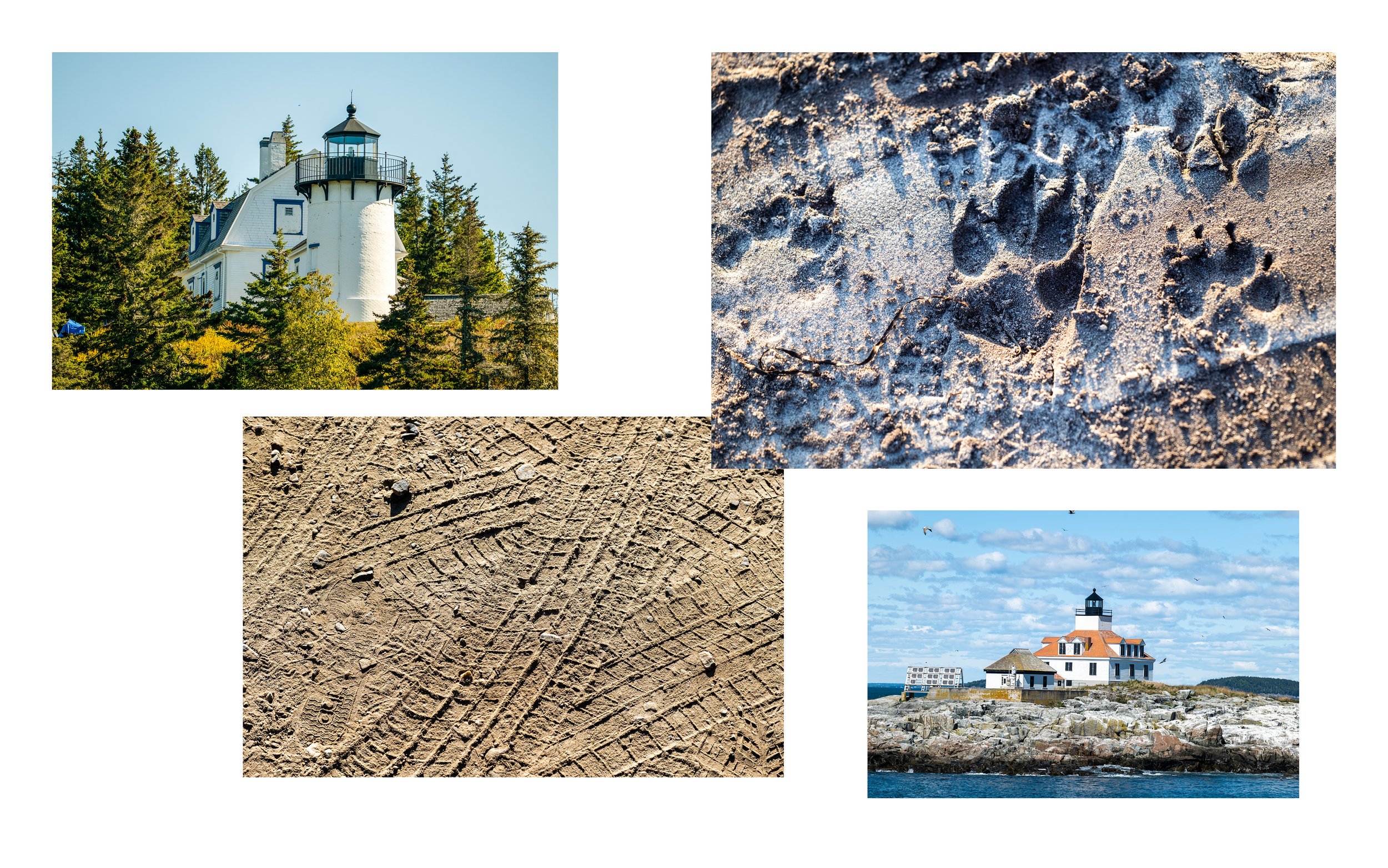 maine-comps20.jpg