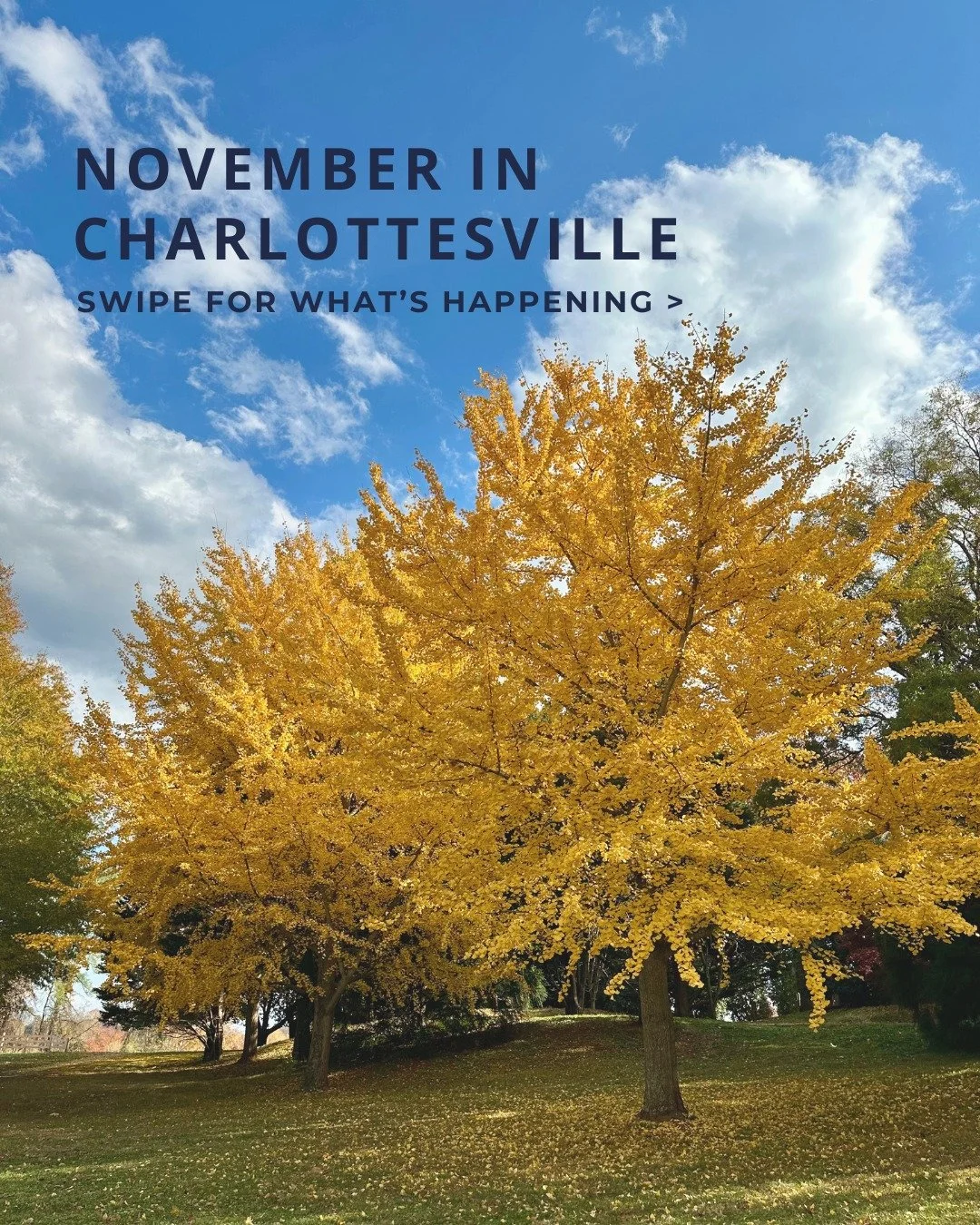 🍂 November in Charlottesville is full of farmers' markets, local flavors and seasonal fun! From wreath-making to Thanksgiving 5K races, and UVA football, there's something for everyone to enjoy this month. 

#Charlottesville #CvilleEvents #Charlotte