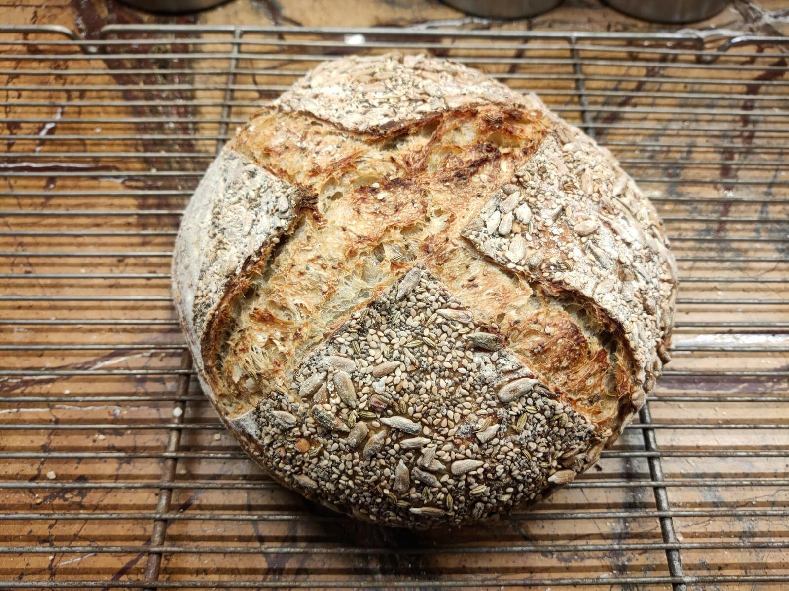 seeded.jpeg