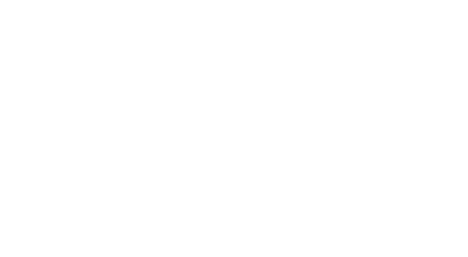 Everest Oxygen