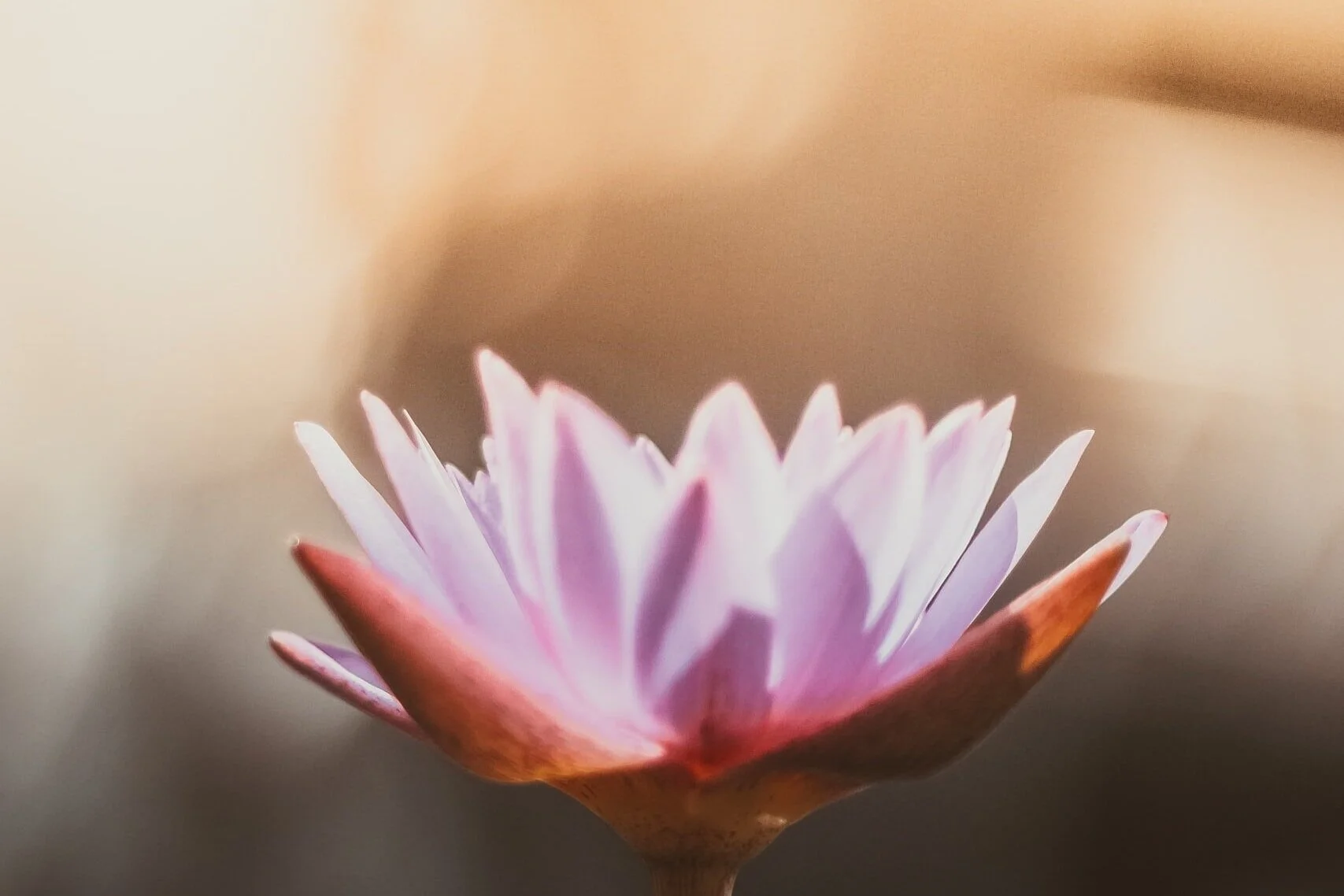 Take care of yourself in every possible way