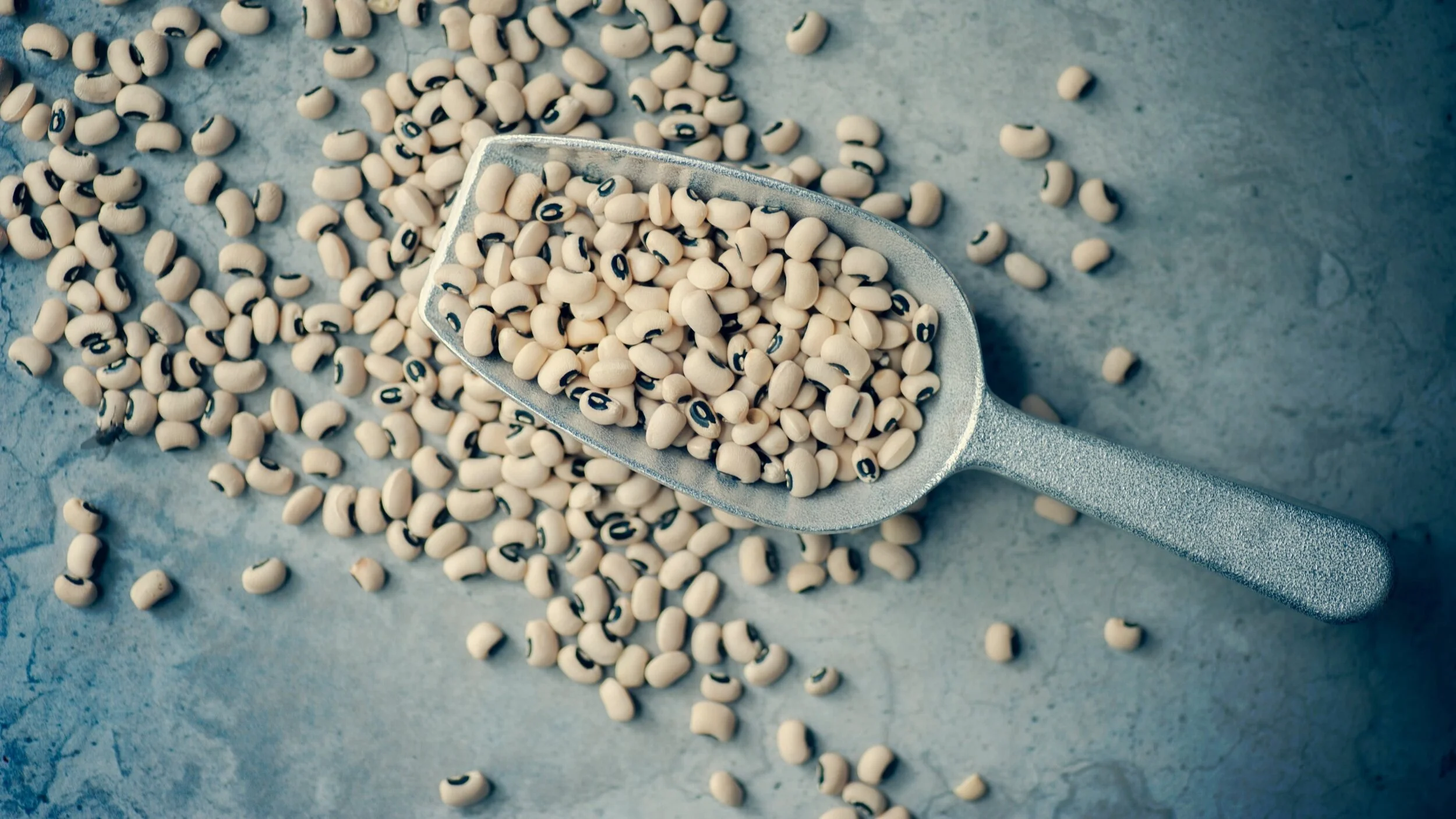 Iron — Everything you need to know