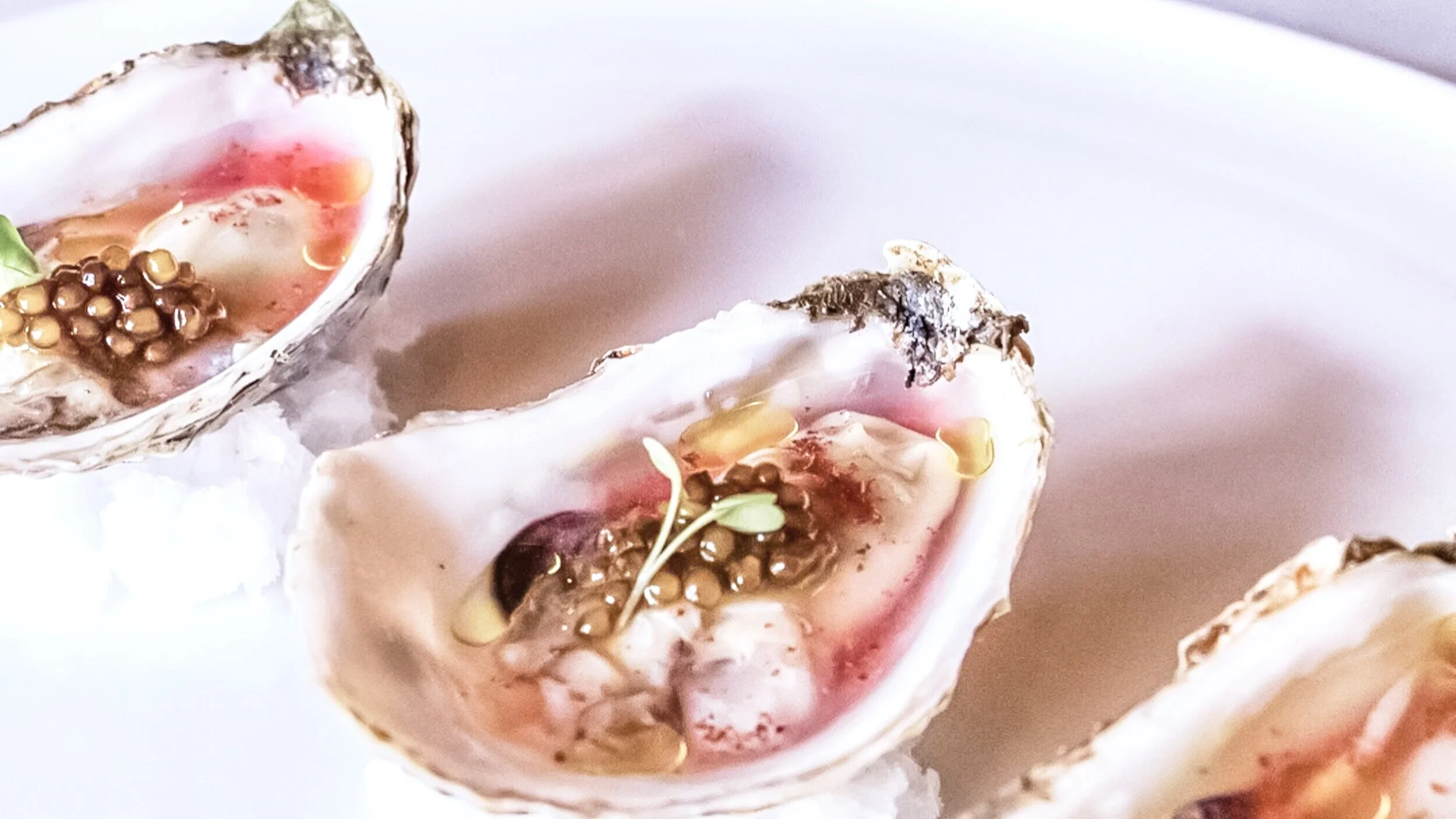 Zinc — Everything you need to know