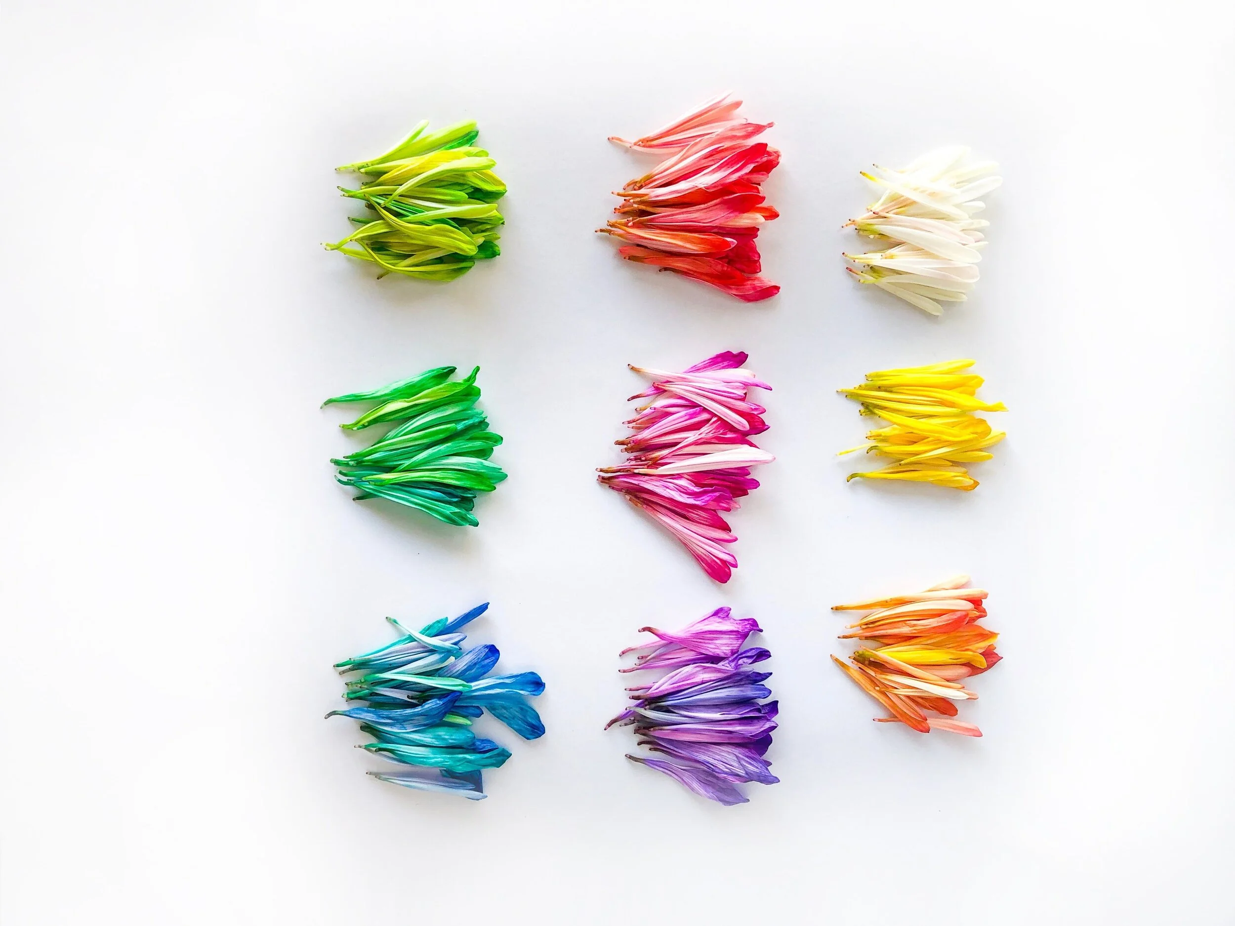 What is bio-individuality?