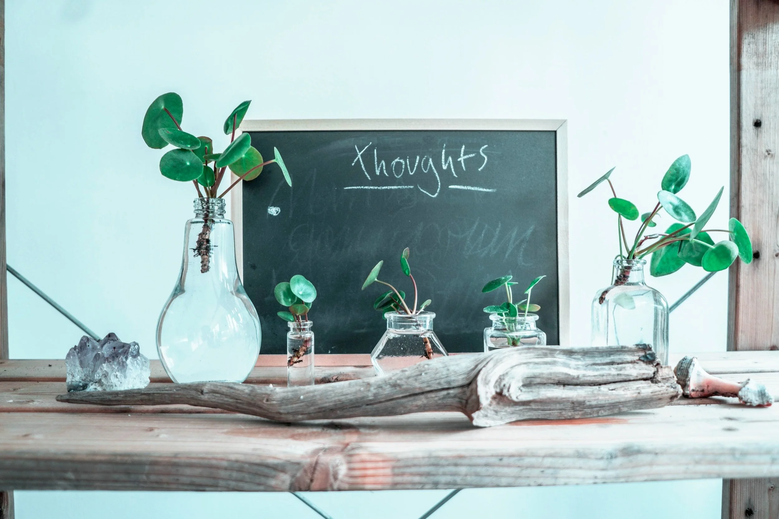 Mind Your Thoughts, Change Your Life