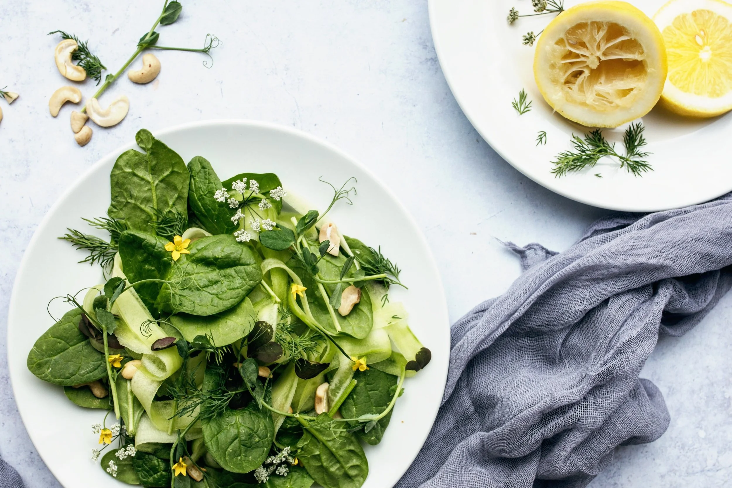 The Importance of Essential Nutrients in a Plant-Based Lifestyle