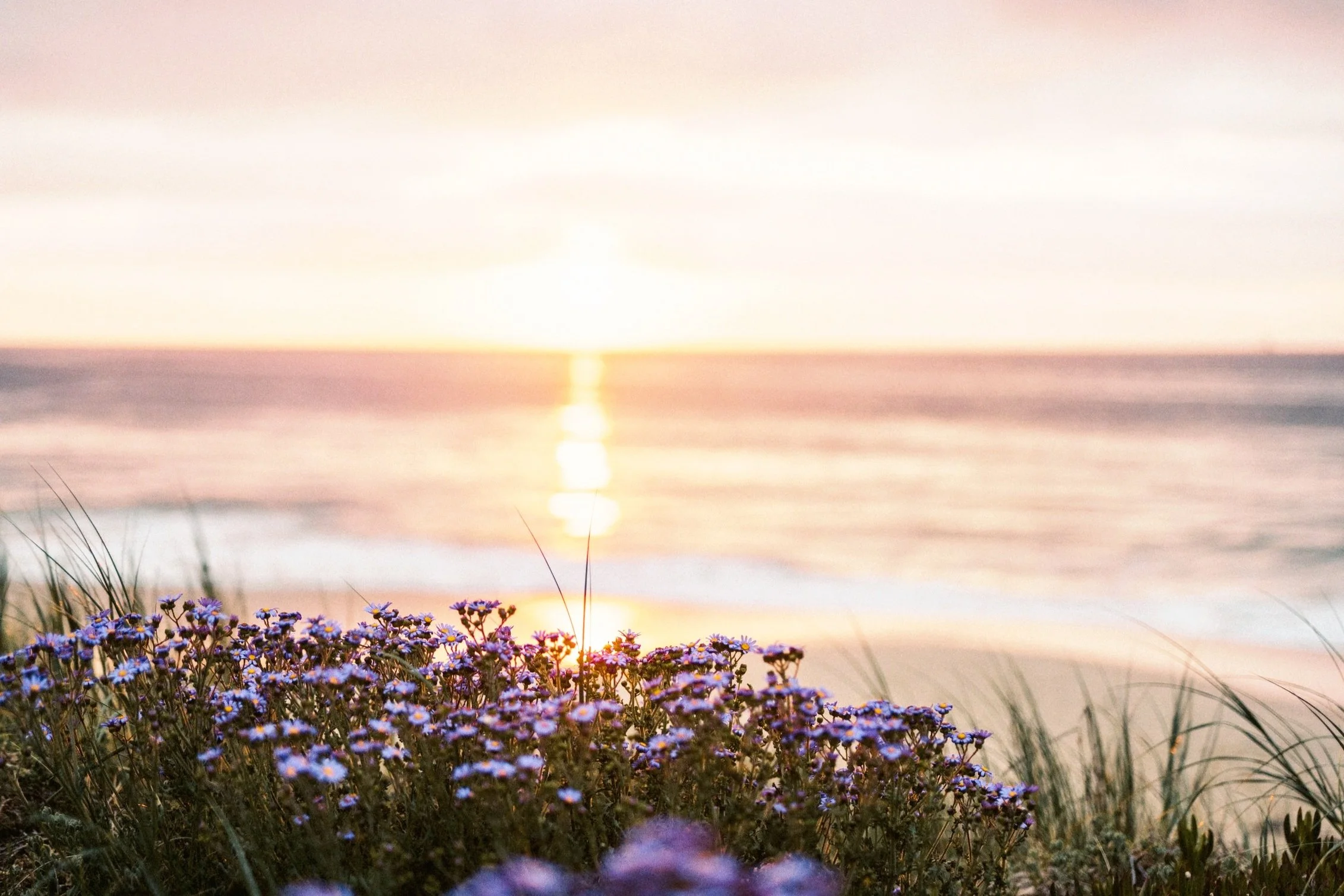 Building a Morning Routine for a Productive Day: How the First Few Hours Shape Your Success