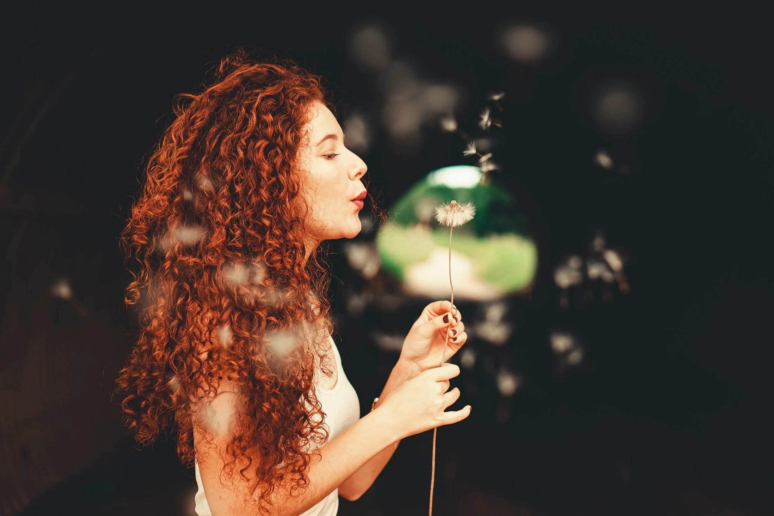 The 3 Pillars of Joy and Fulfillment: How to Find Them