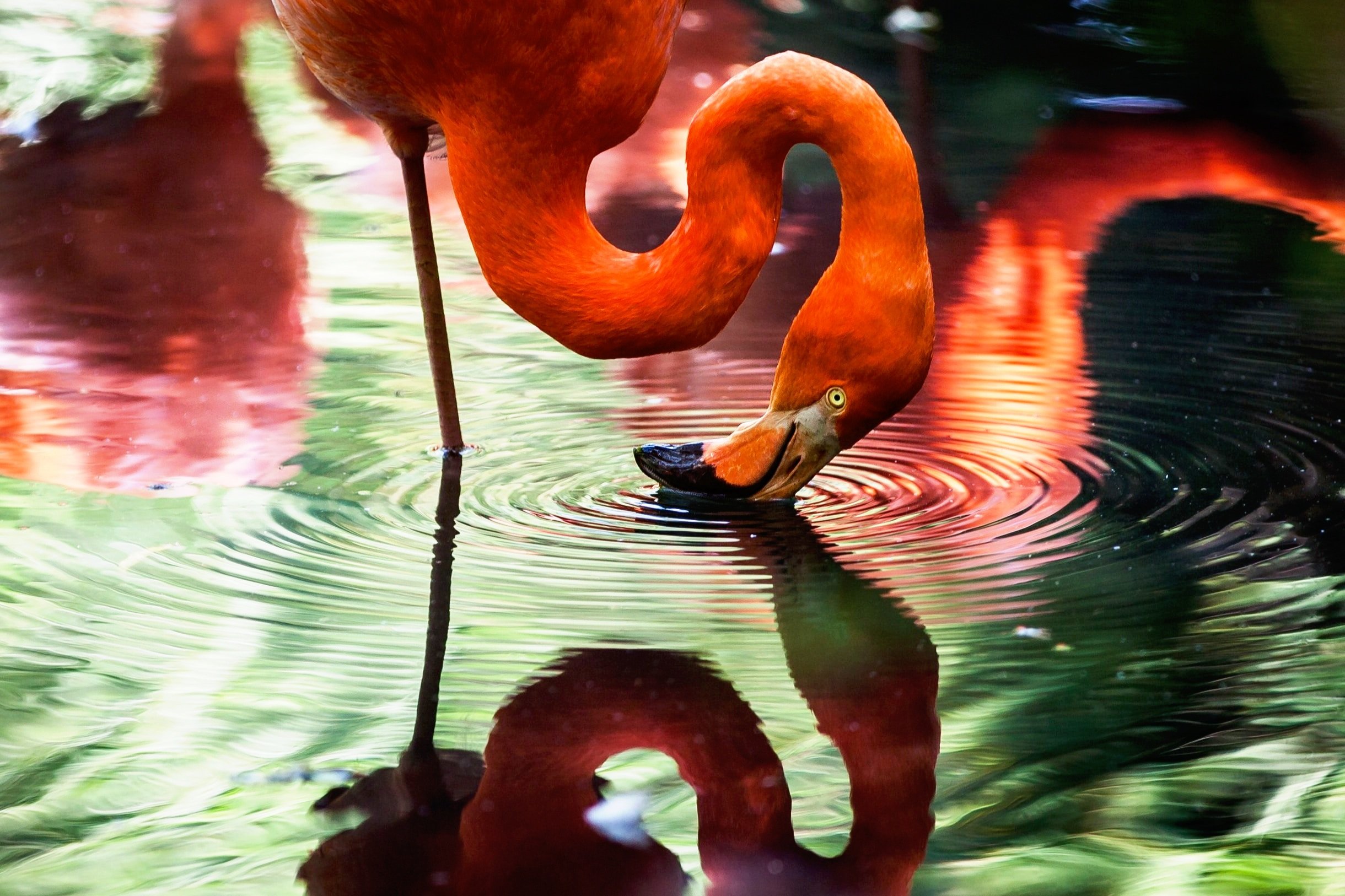 From Joy to Integrity: A Journey of Self-Discovery and Fulfillment