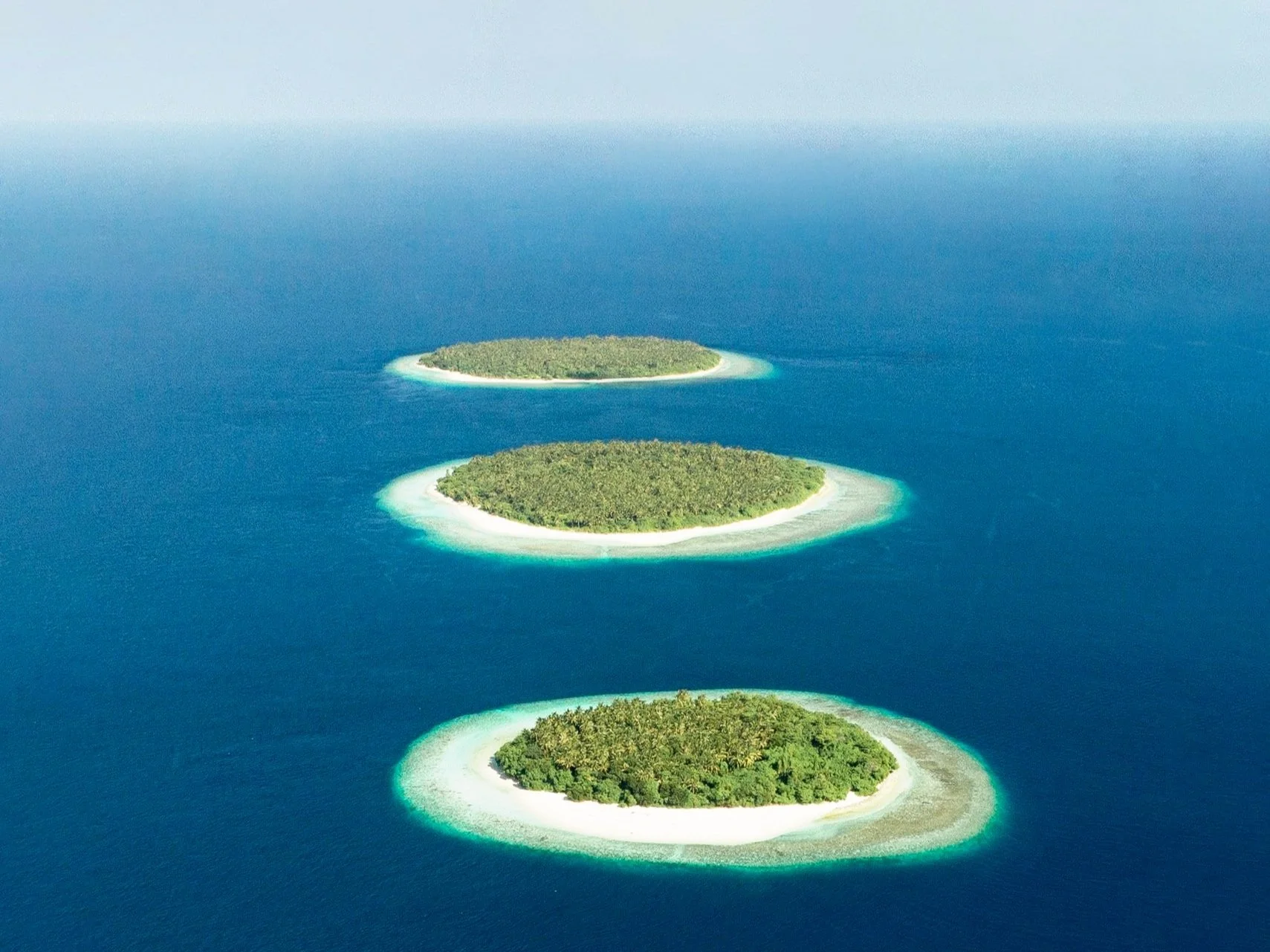 Embracing the Perfect Life: The Power of Health, Abundance, and Love