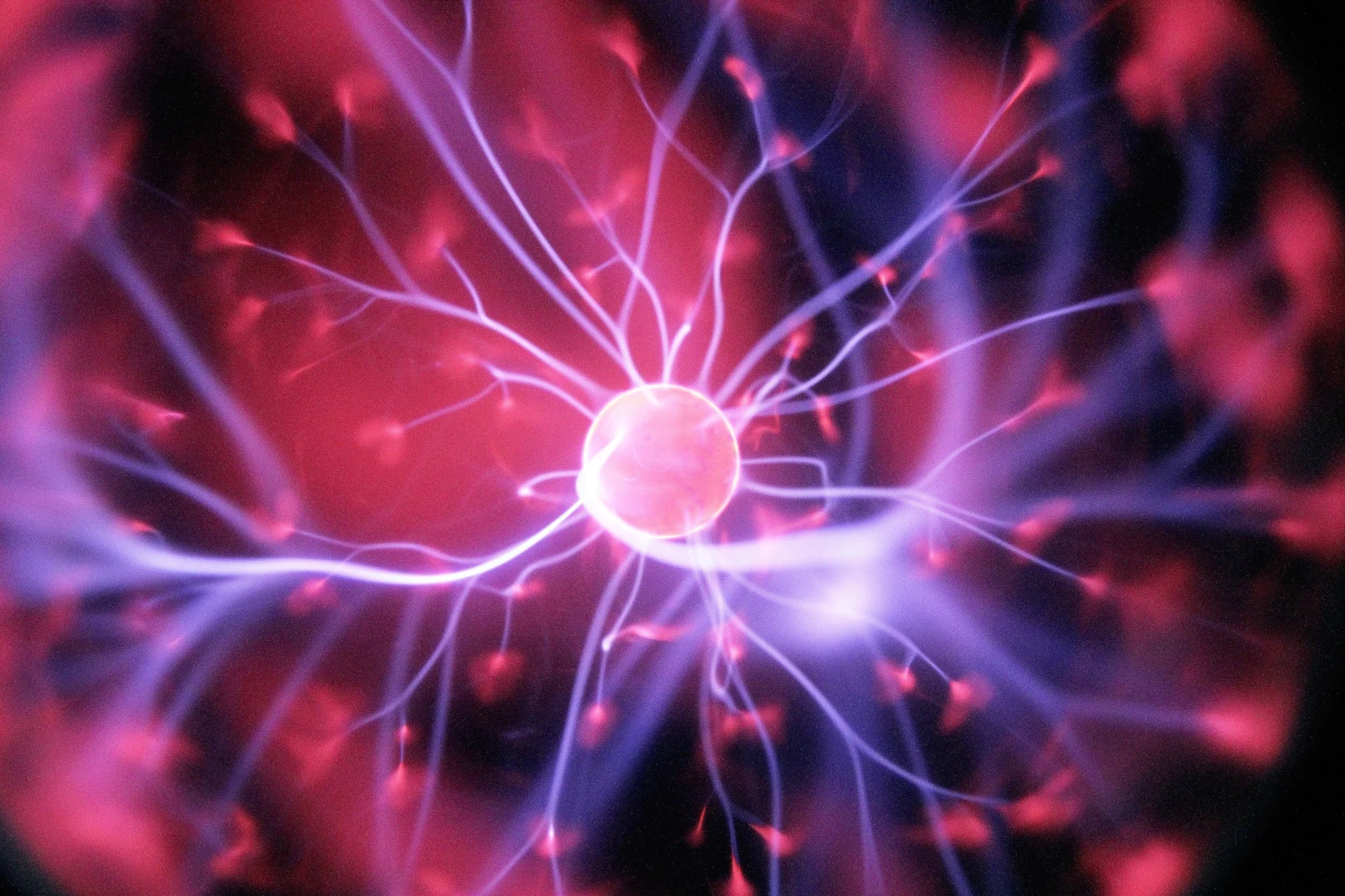 The Hidden Connection: How Your Gut and Brain Communicate and Affect Your Health