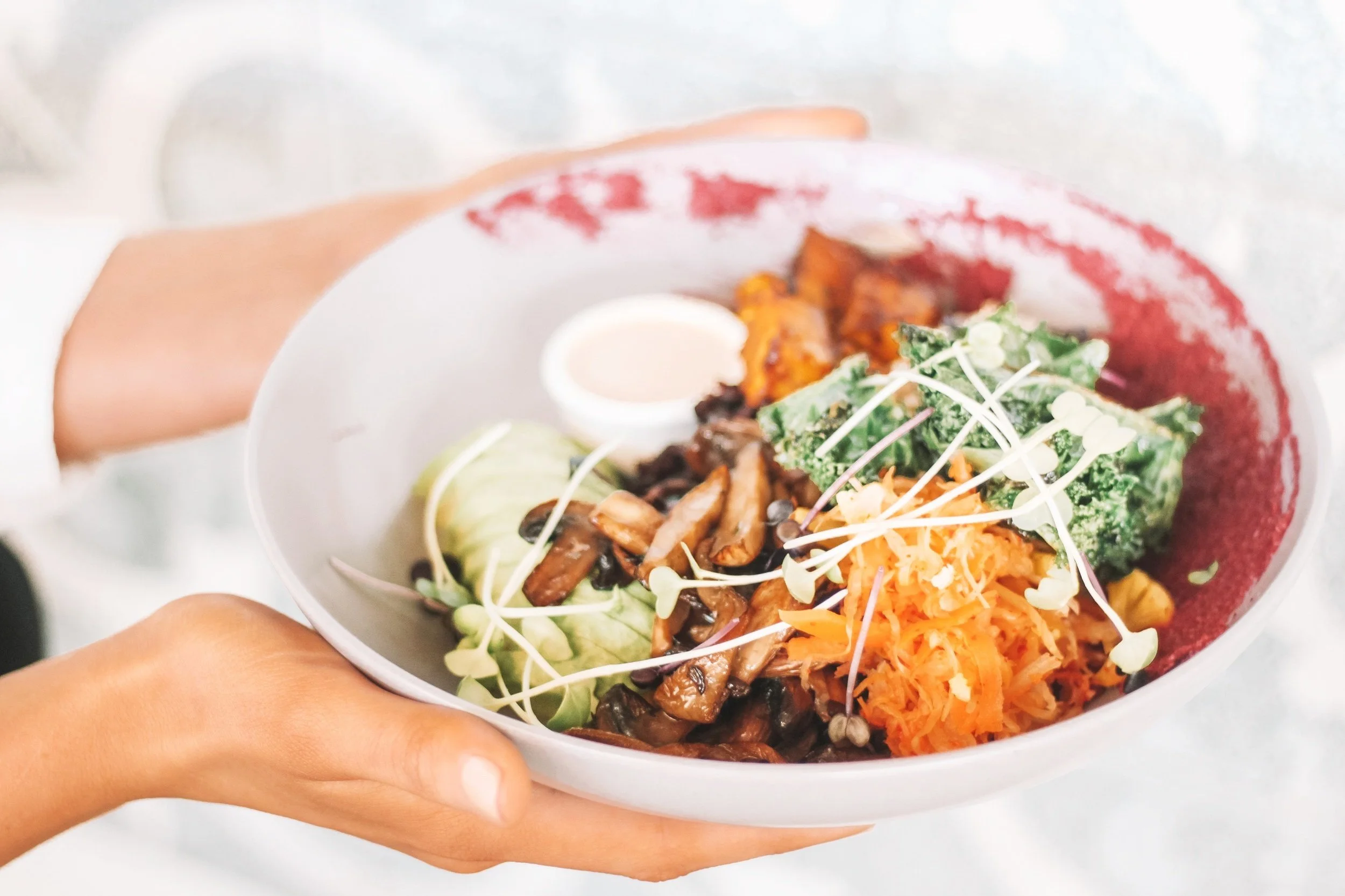 18 FAQs on plant-based nutrition: A Guide to Your Plant-Based Journey