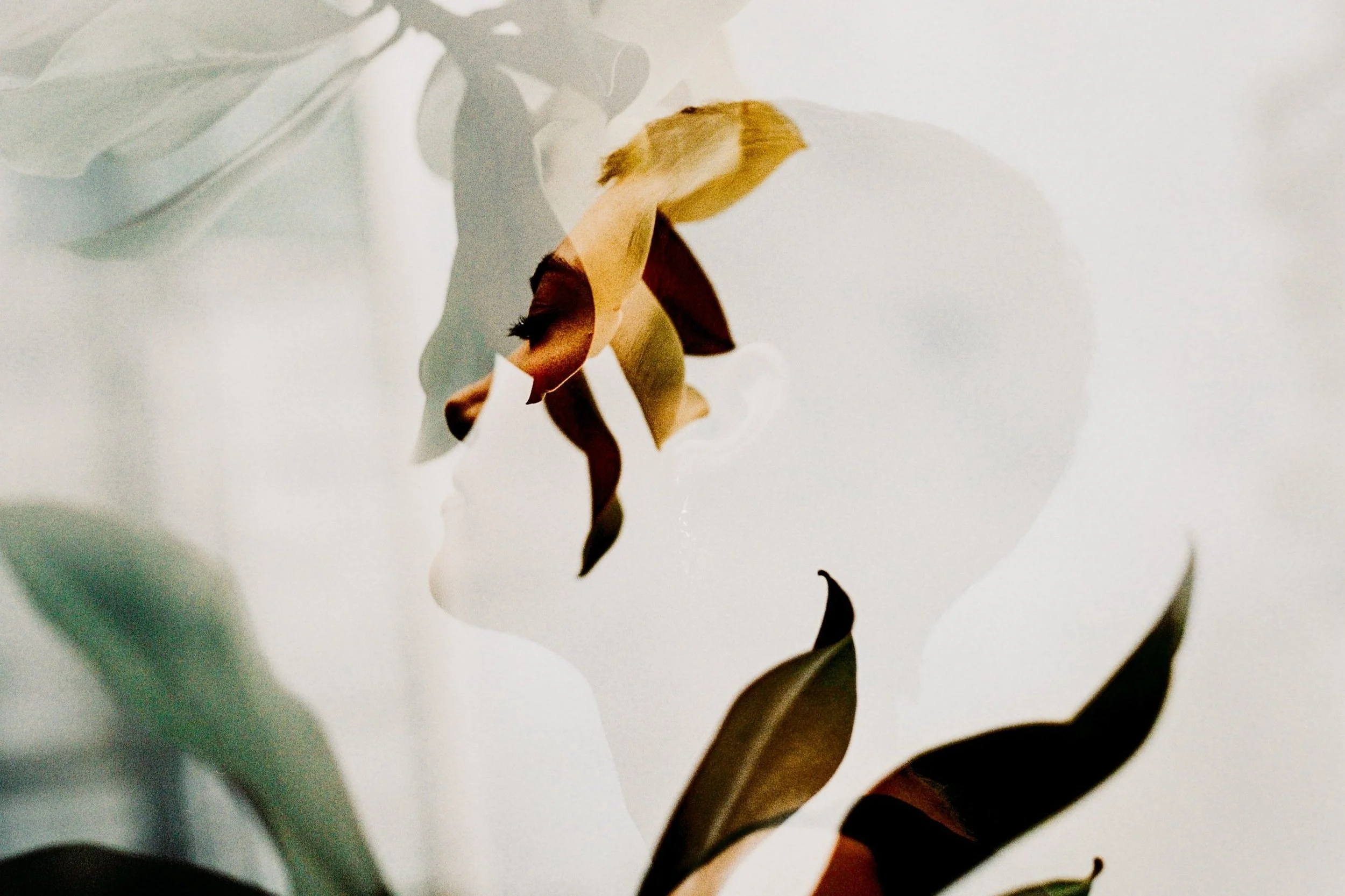 18 FAQs on Mindfulness: The Power of Presence