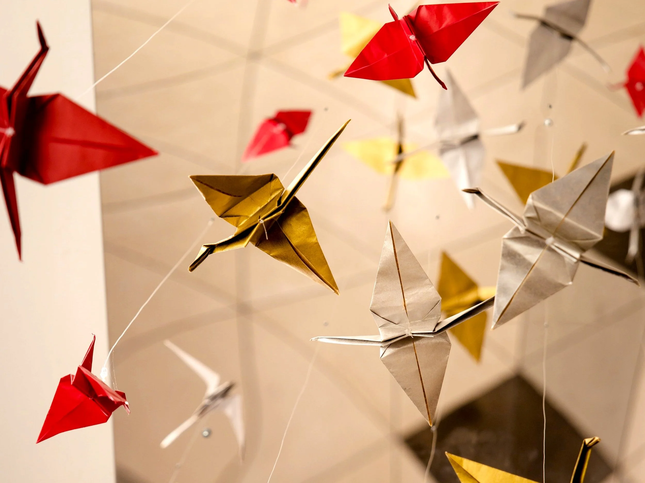 Senbazuru - 1000 Origami cranes